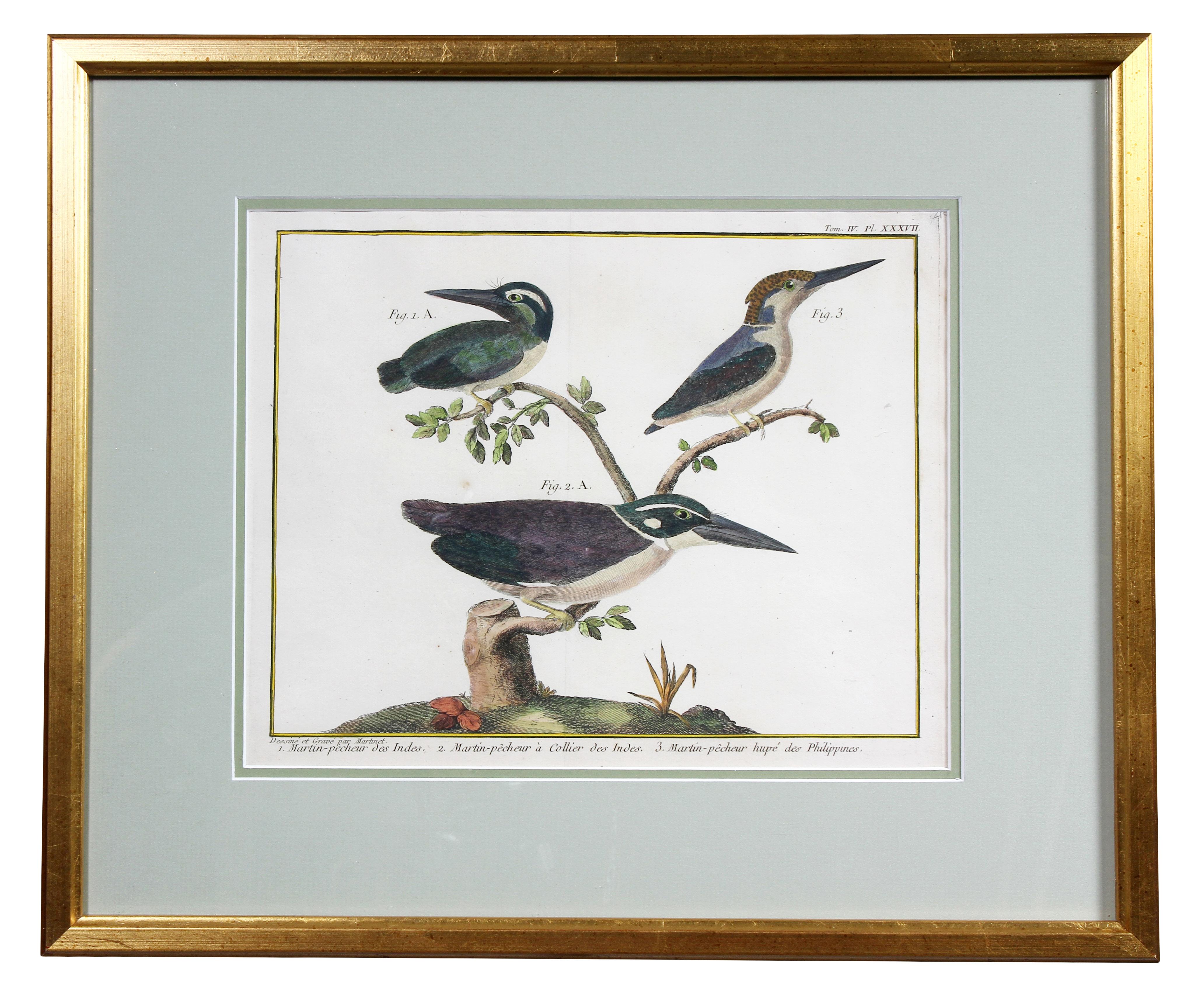Set of Fifteen Framed Hand Colored Engravings of Birds by Francois N Martinet In Good Condition In Essex, MA