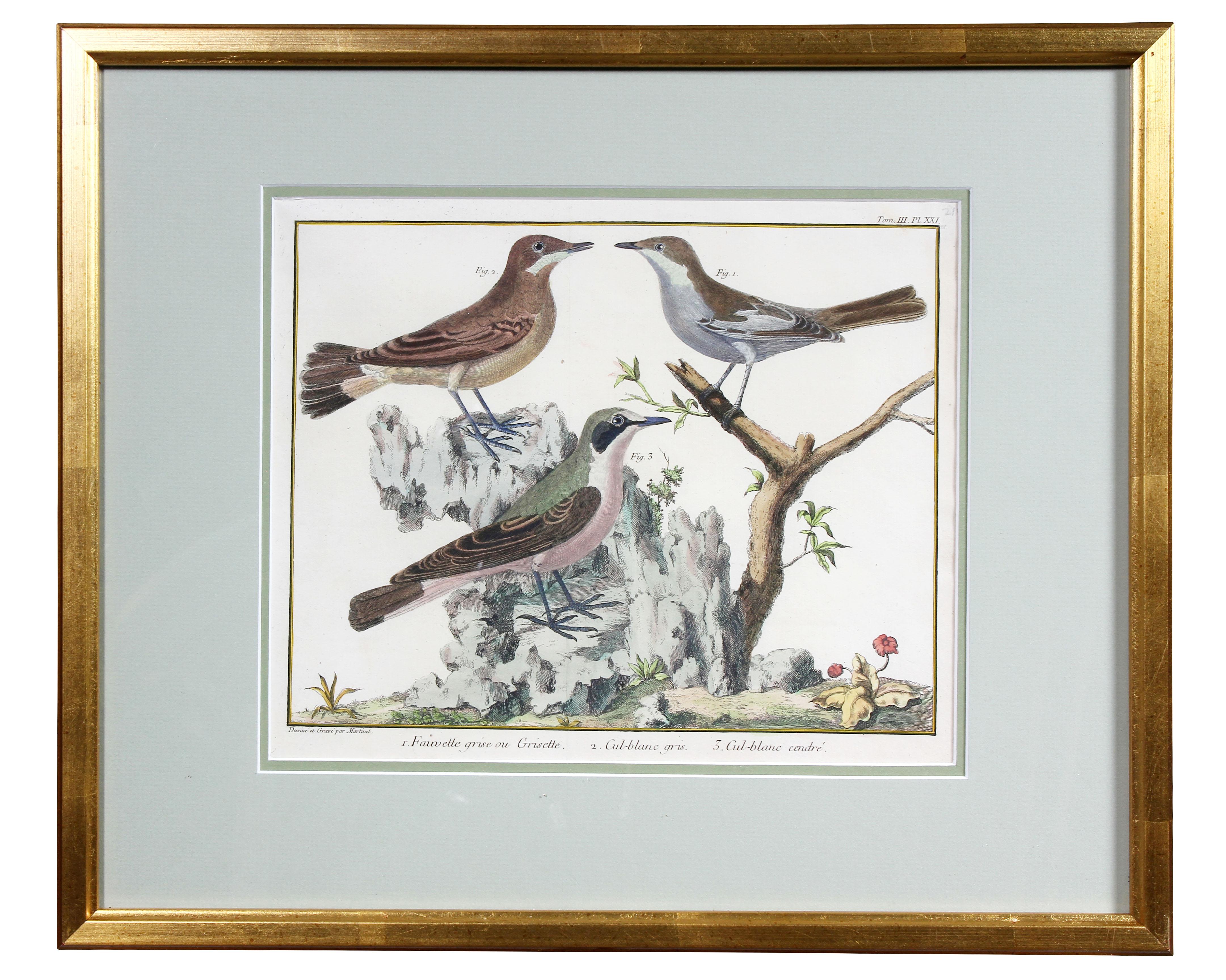 Set of Fifteen Framed Hand Colored Engravings of Birds by Francois N Martinet 2