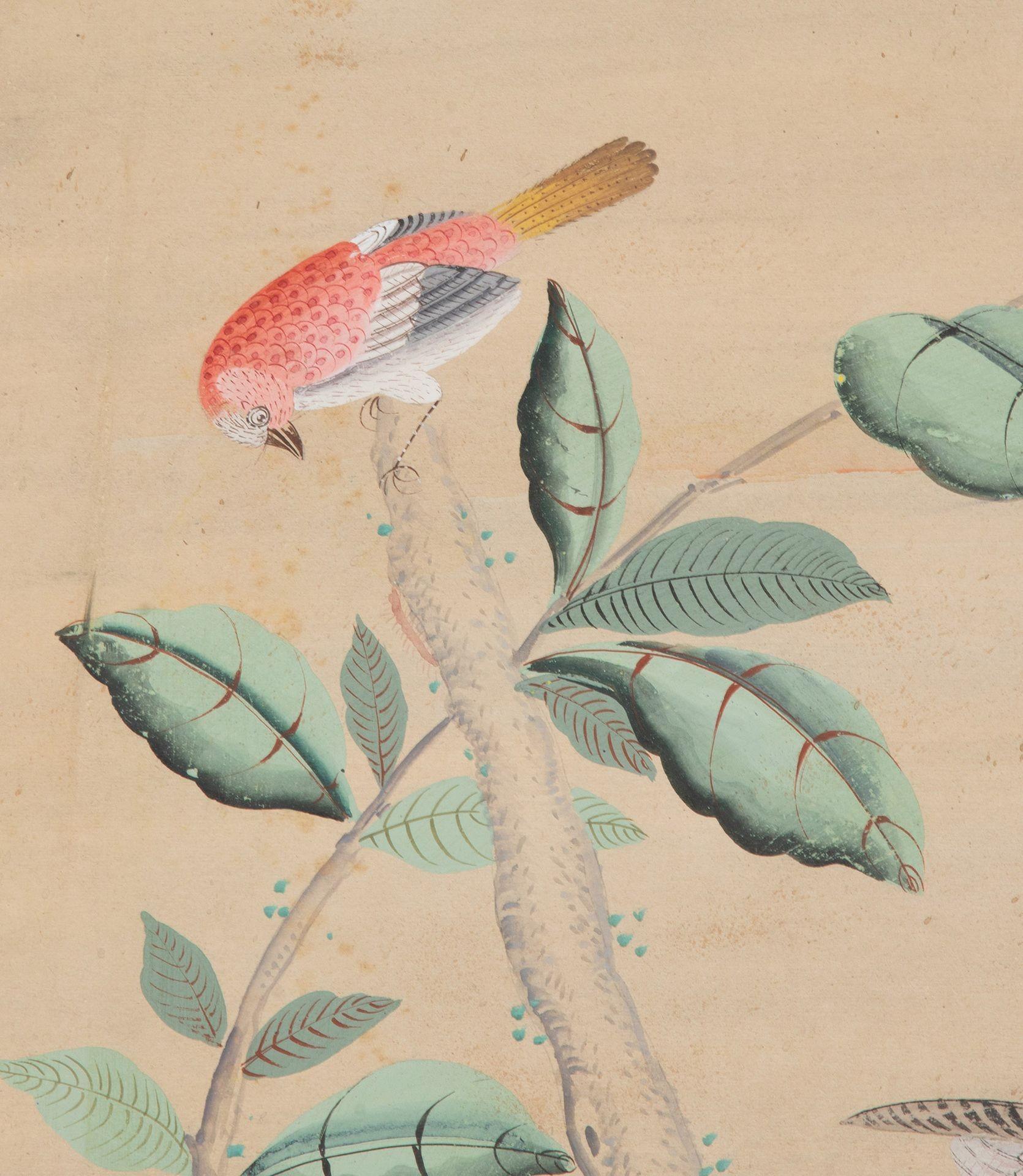 Set of Five 18th Century Chinoiserie Style Framed Wallpaper Panels For Sale 10