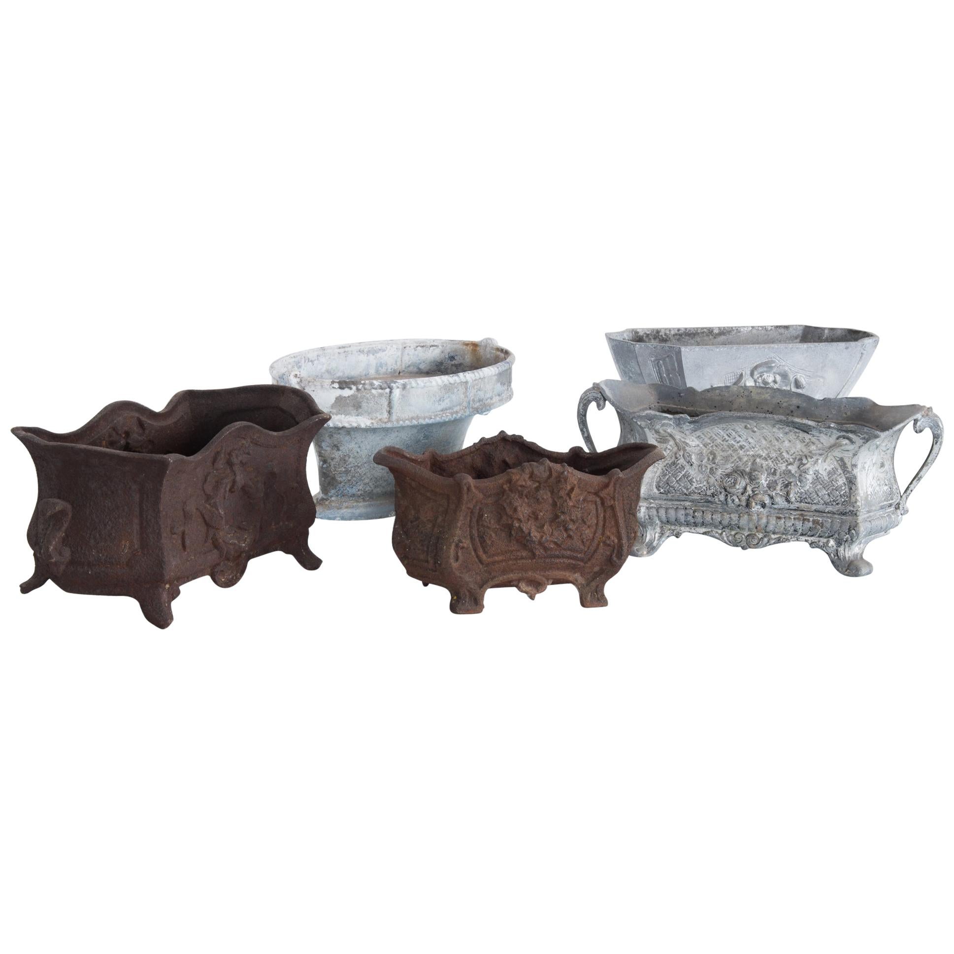 Set of Five 1950s Small French Cast Iron Planters