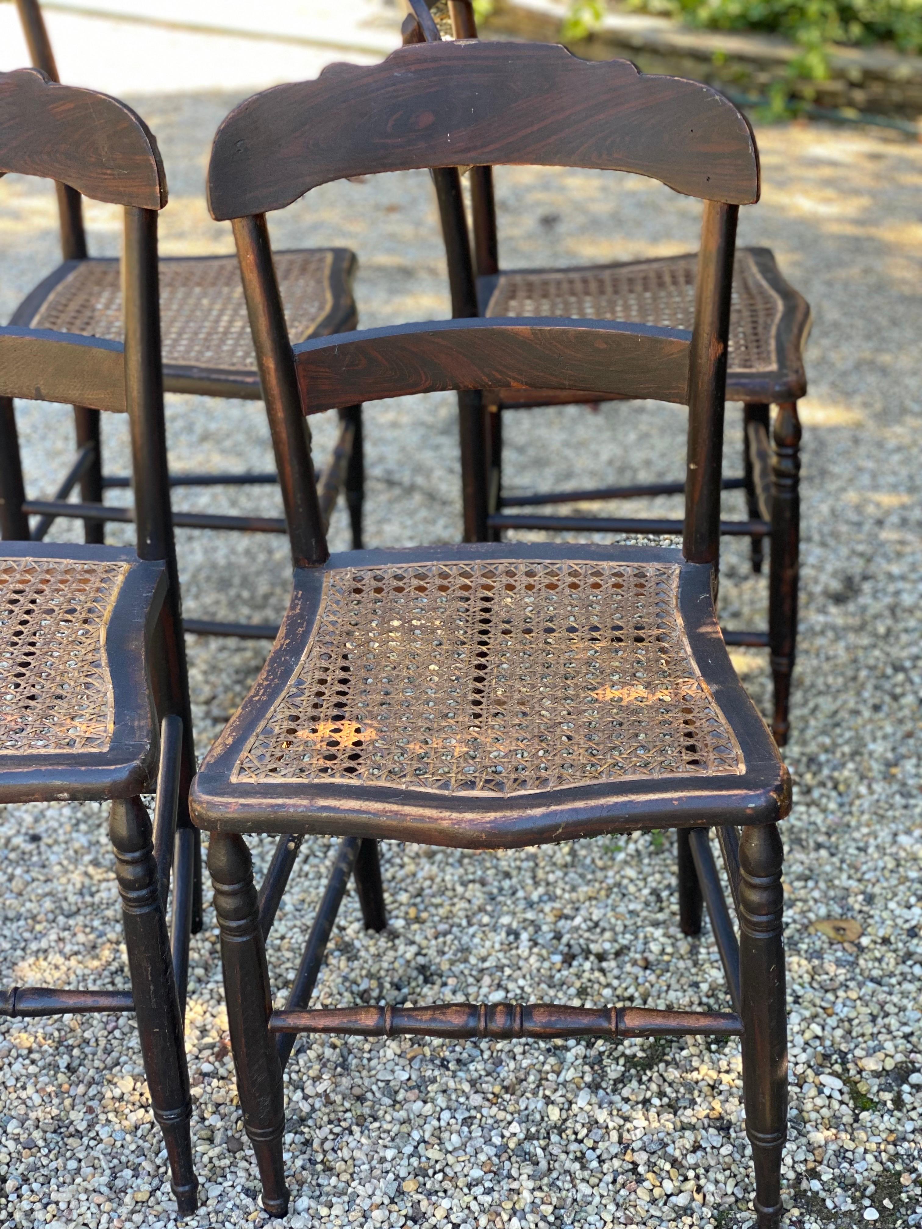 Set of Five 19th Century American Caned Faux Bois Rosewood Dining Chairs For Sale 13