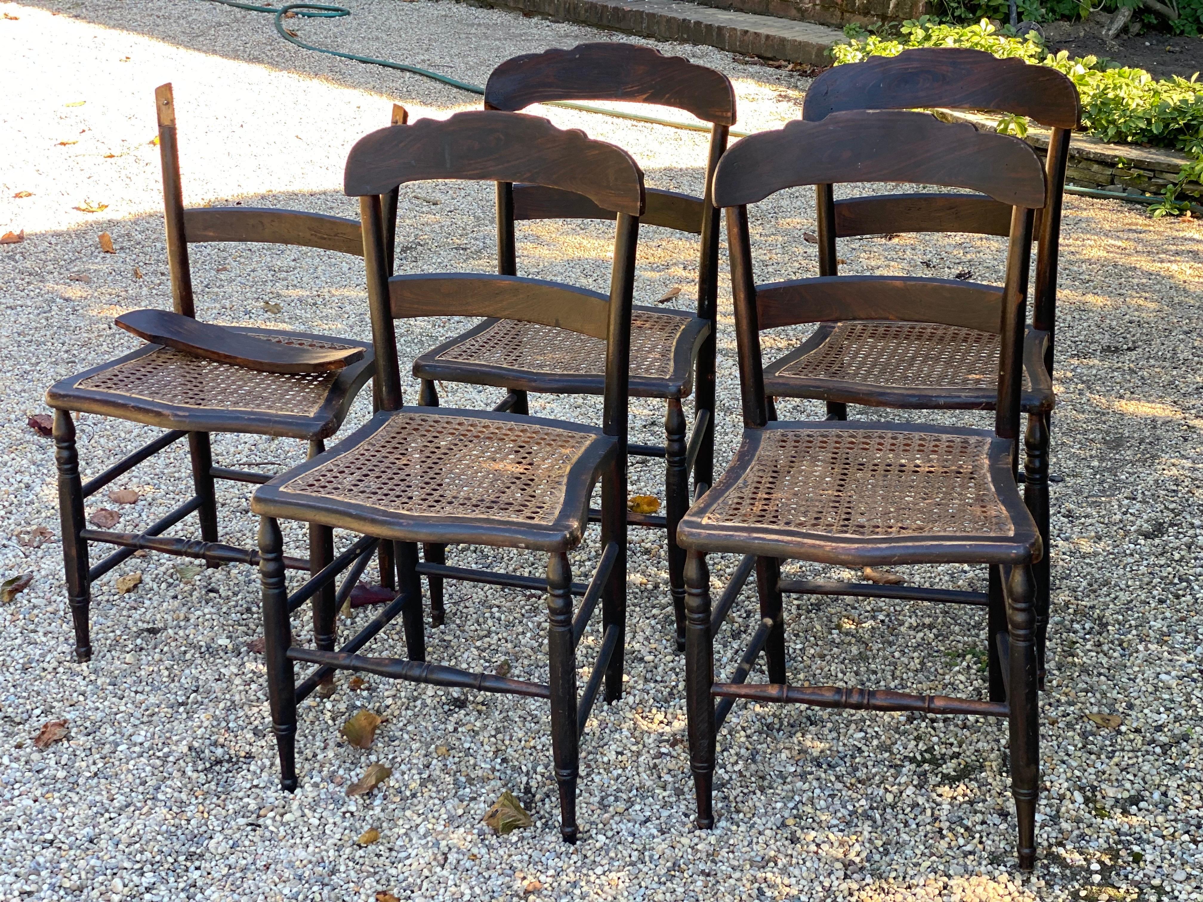 Set of Five 19th Century American Caned Faux Bois Rosewood Dining Chairs In Good Condition For Sale In Southampton, NY