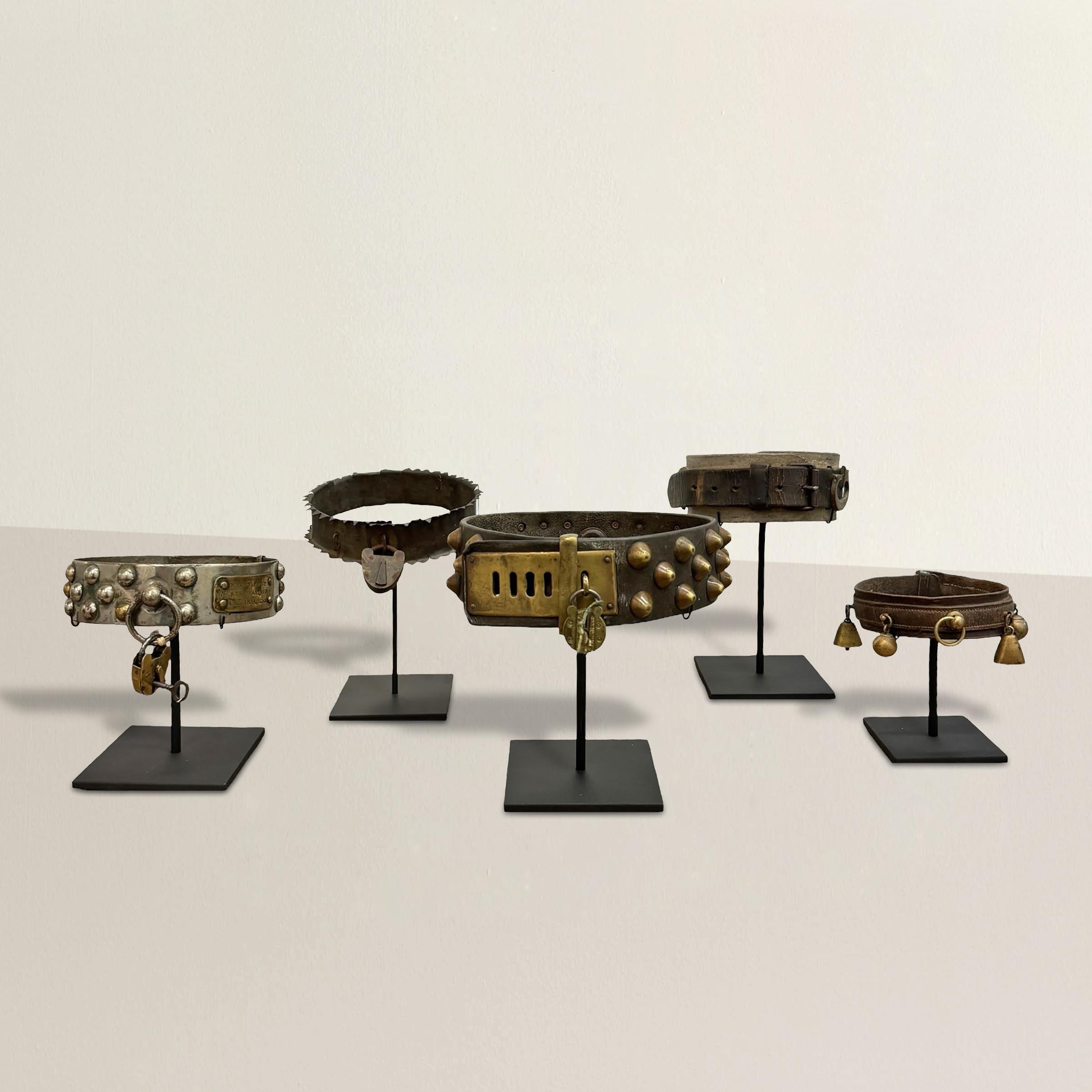 This set of five 19th-century French dog collars is a remarkable collection of craftsmanship and history. Each collar features beautifully worked leather, adorned with brass buckles and steel studs, showcasing the meticulous attention to detail