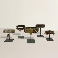 Set von fünf französischen Hundekragen des 19. Jahrhunderts auf maßgefertigten Beschlägen