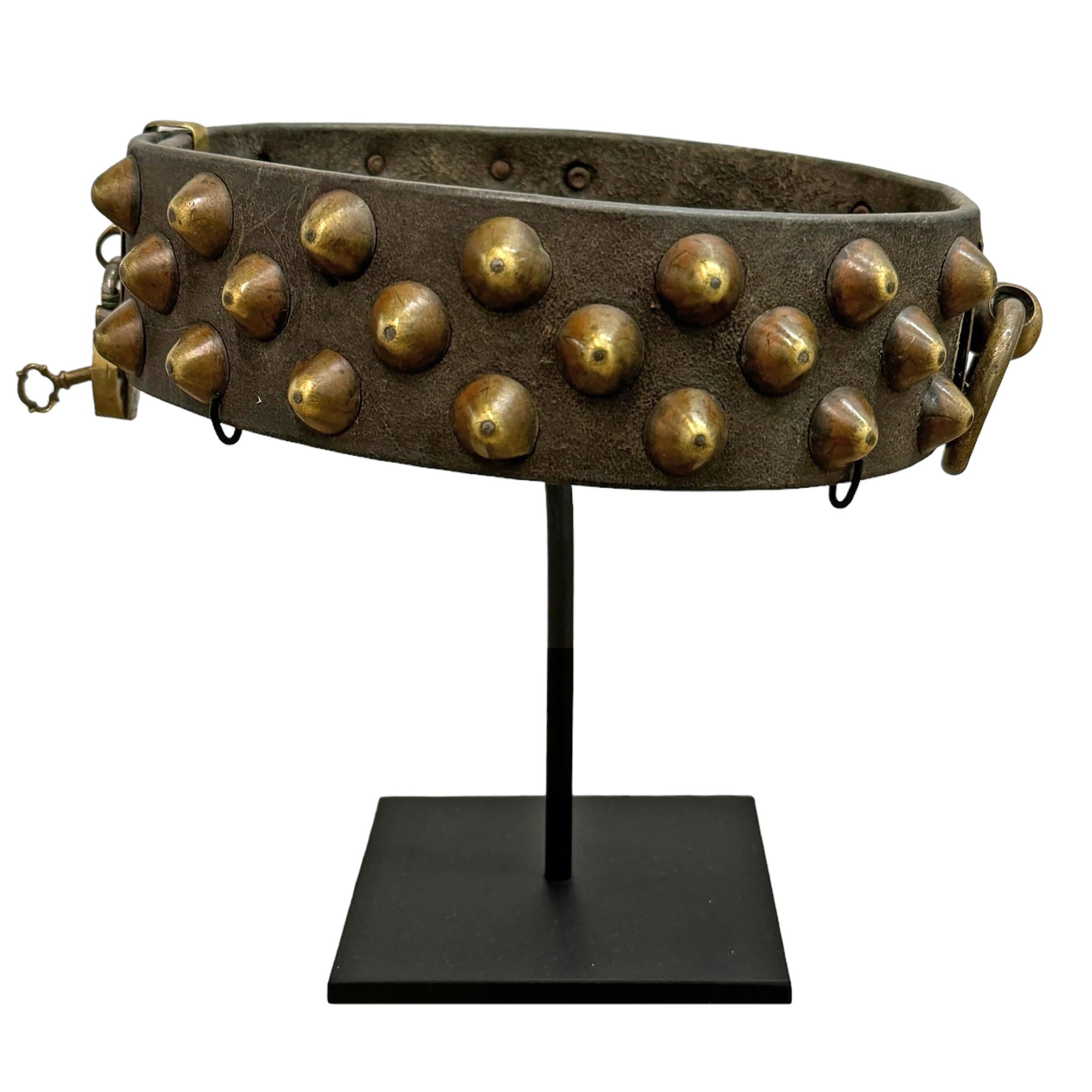 Set of Five 19th Century French Dog Collars on Custom Mounts In Good Condition In Chicago, IL