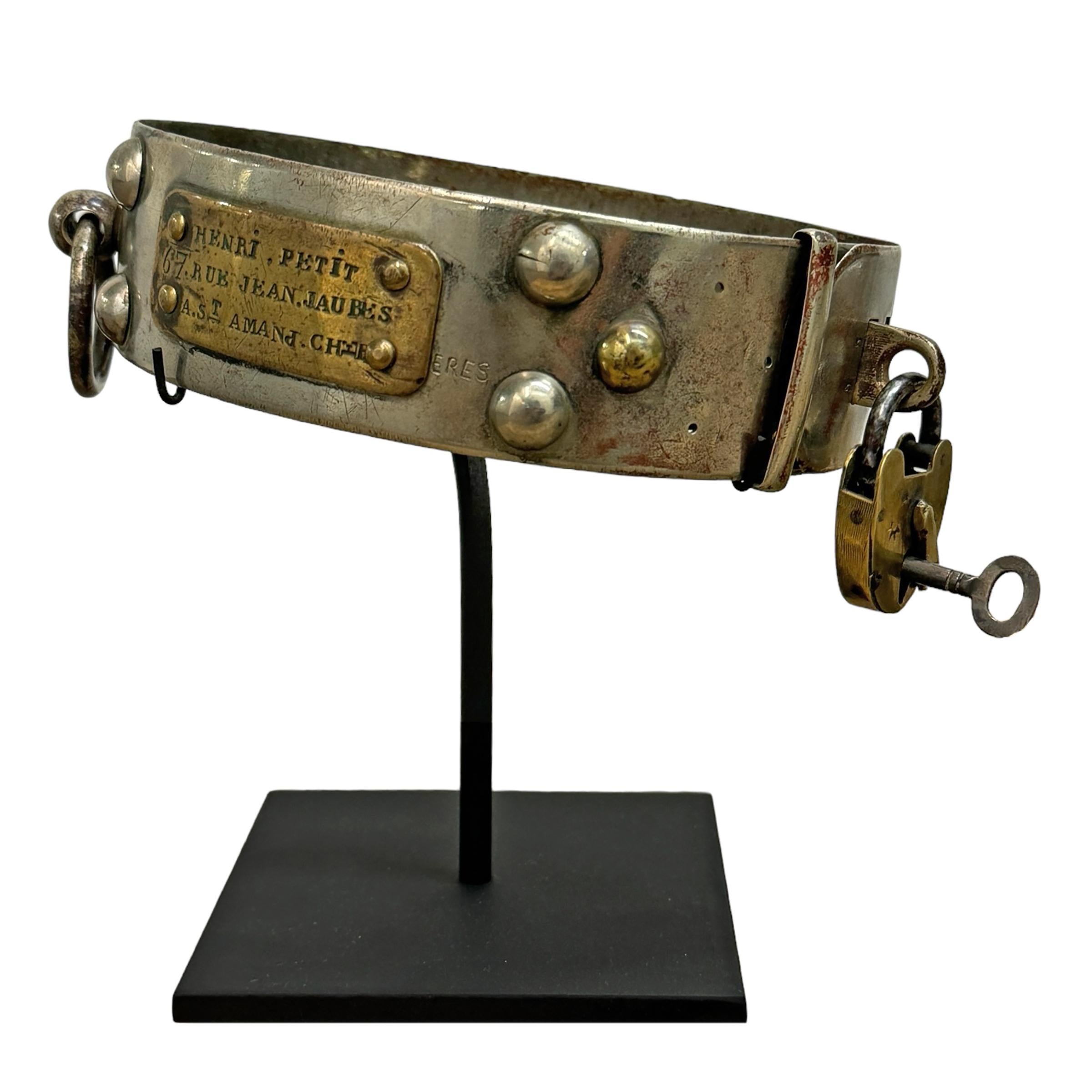 Set of Five 19th Century French Dog Collars on Custom Mounts 2