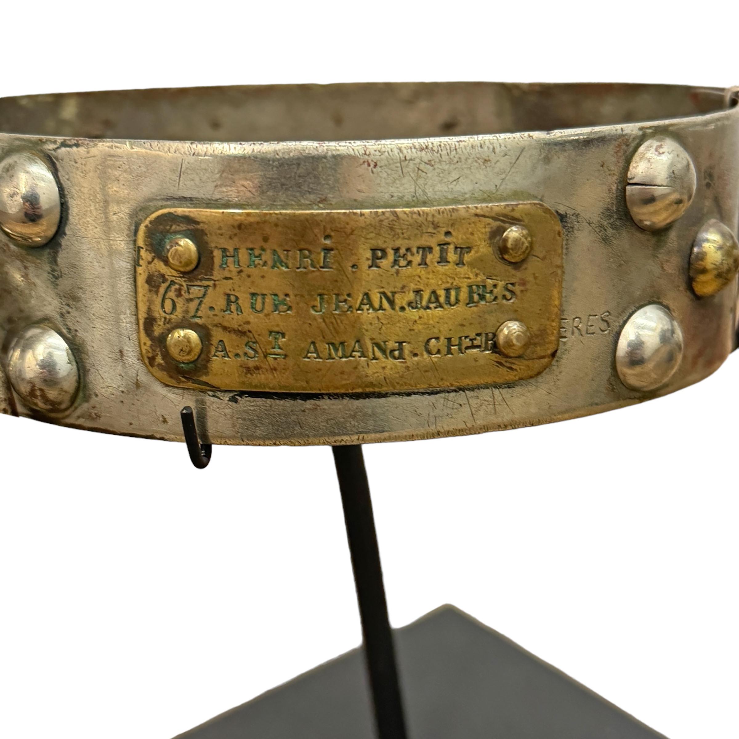 Set of Five 19th Century French Dog Collars on Custom Mounts 3