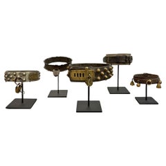 Antique Set of Five 19th Century French Dog Collars on Custom Mounts