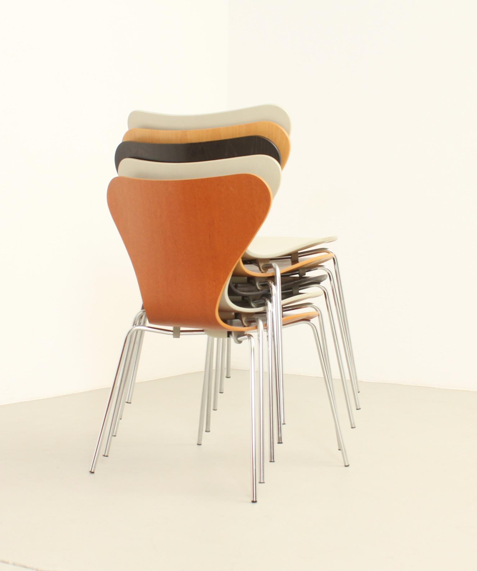 Set of Five 3107 Chairs by Arne Jacobsen for Fritz Hansen 3