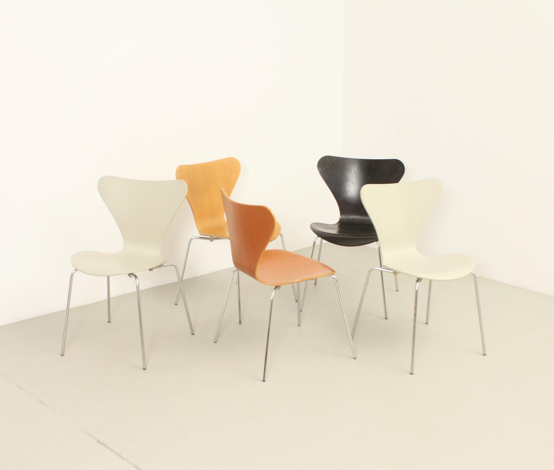 Set of Five 3107 Chairs by Arne Jacobsen for Fritz Hansen 7