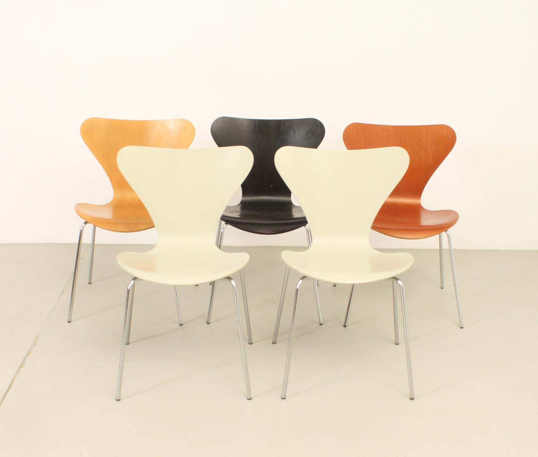 Set of five 3107 chairs designed in 1955 by danish architect Arne Jacobsen for Fritz Hansen. Different editions in grey and black lacquered wood and natural and stained beech wood. Editions from 1970, 1986, 1990 and 1991.