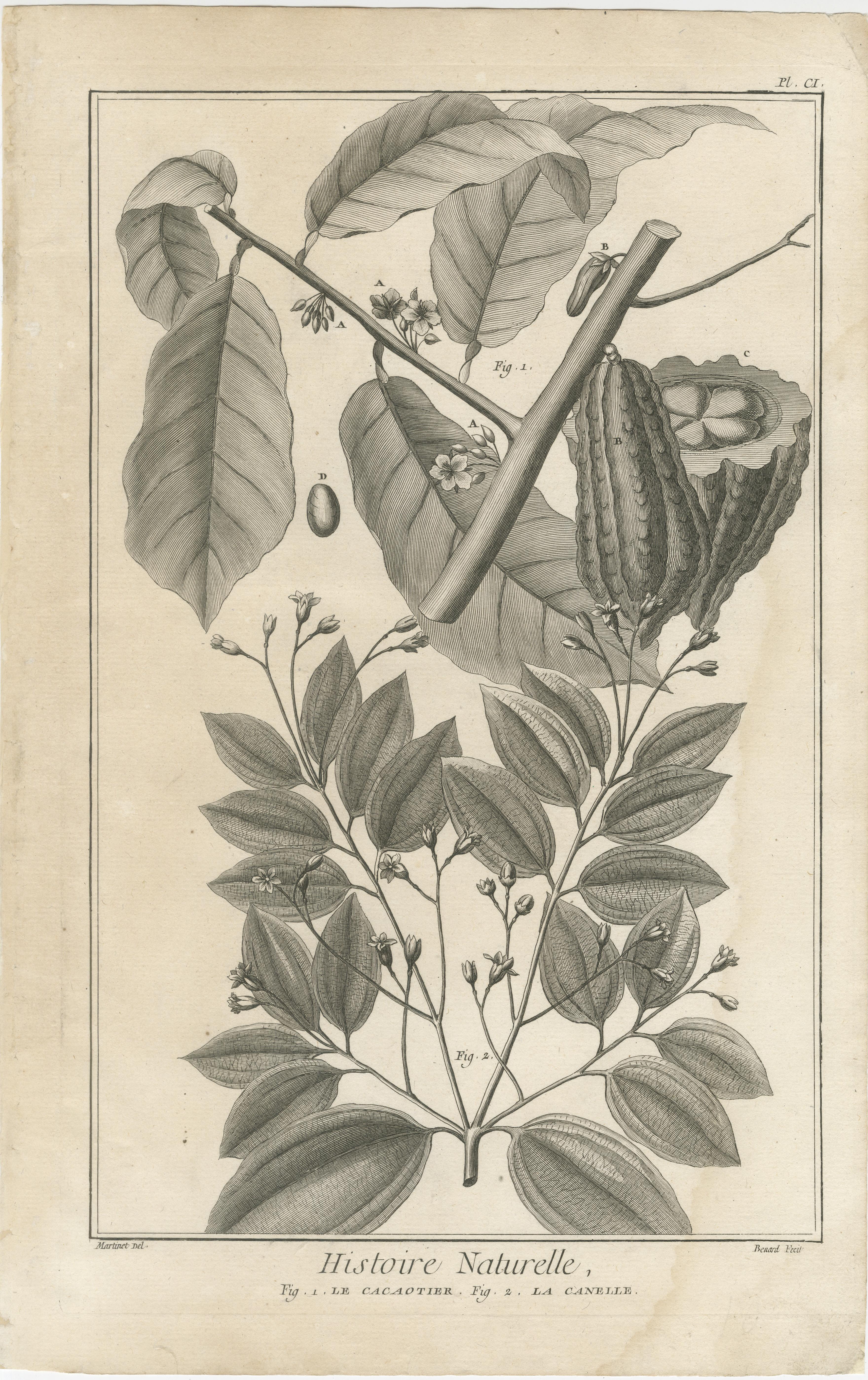 Ensemble de cinq gravures anciennes d'épices et de cultures coloniales par Diderot, 1770 Bon état - En vente à Langweer, NL