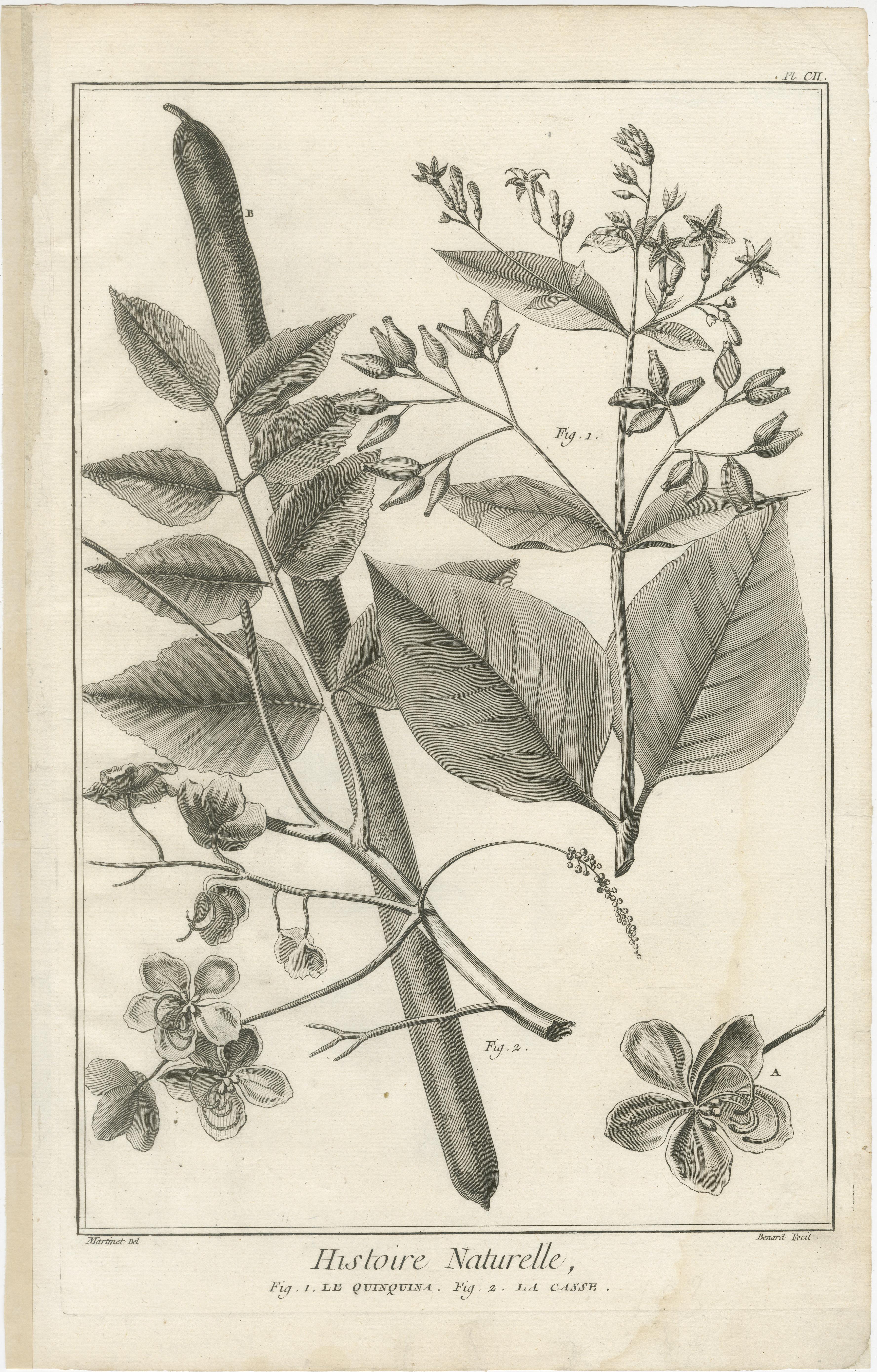 Fin du XVIIIe siècle Ensemble de cinq gravures anciennes d'épices et de cultures coloniales par Diderot, 1770 en vente