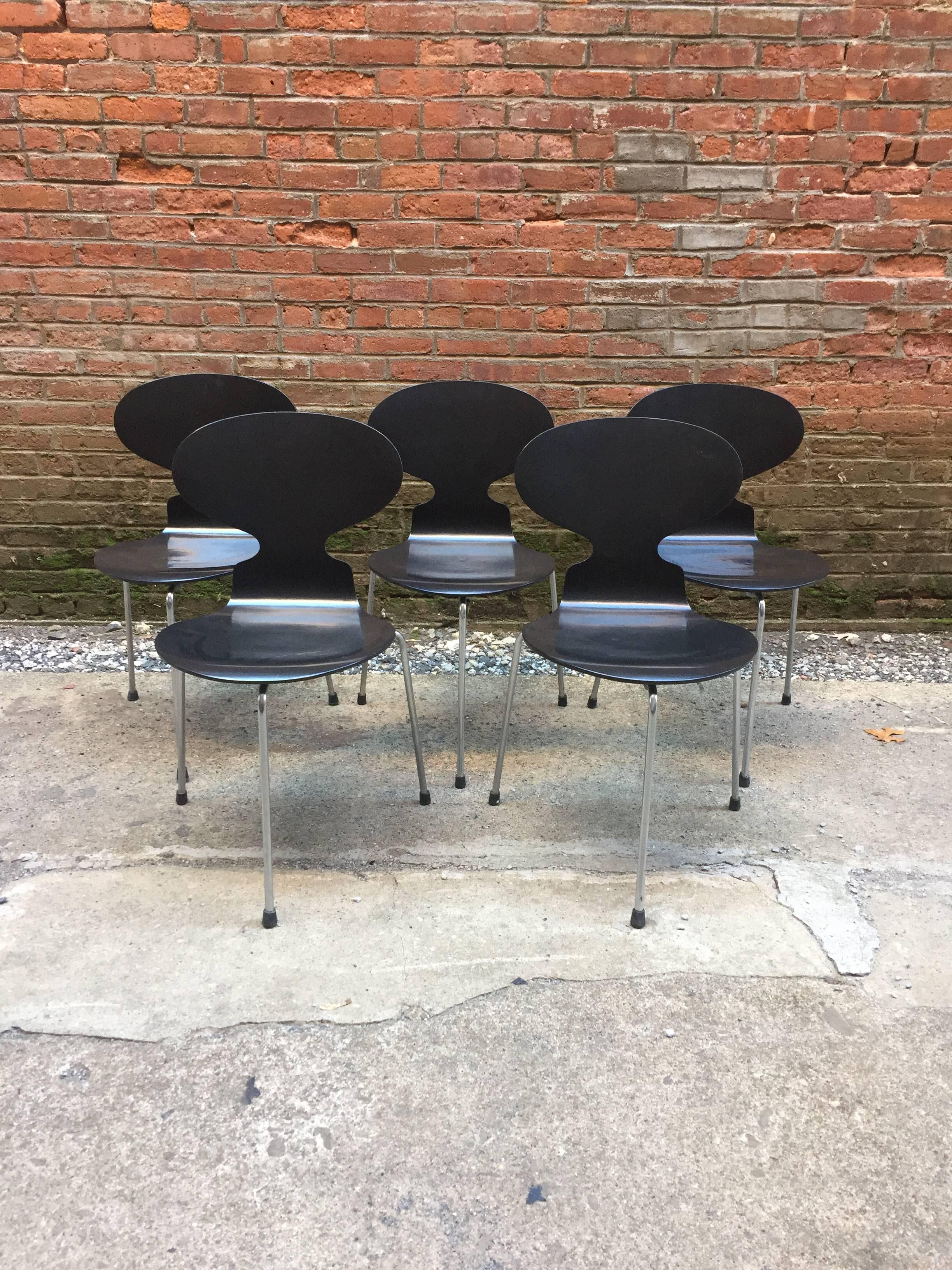 Scandinavian Modern Set of Five Arne Jacobsen for Fritz Hansen 3100 Ant Chairs