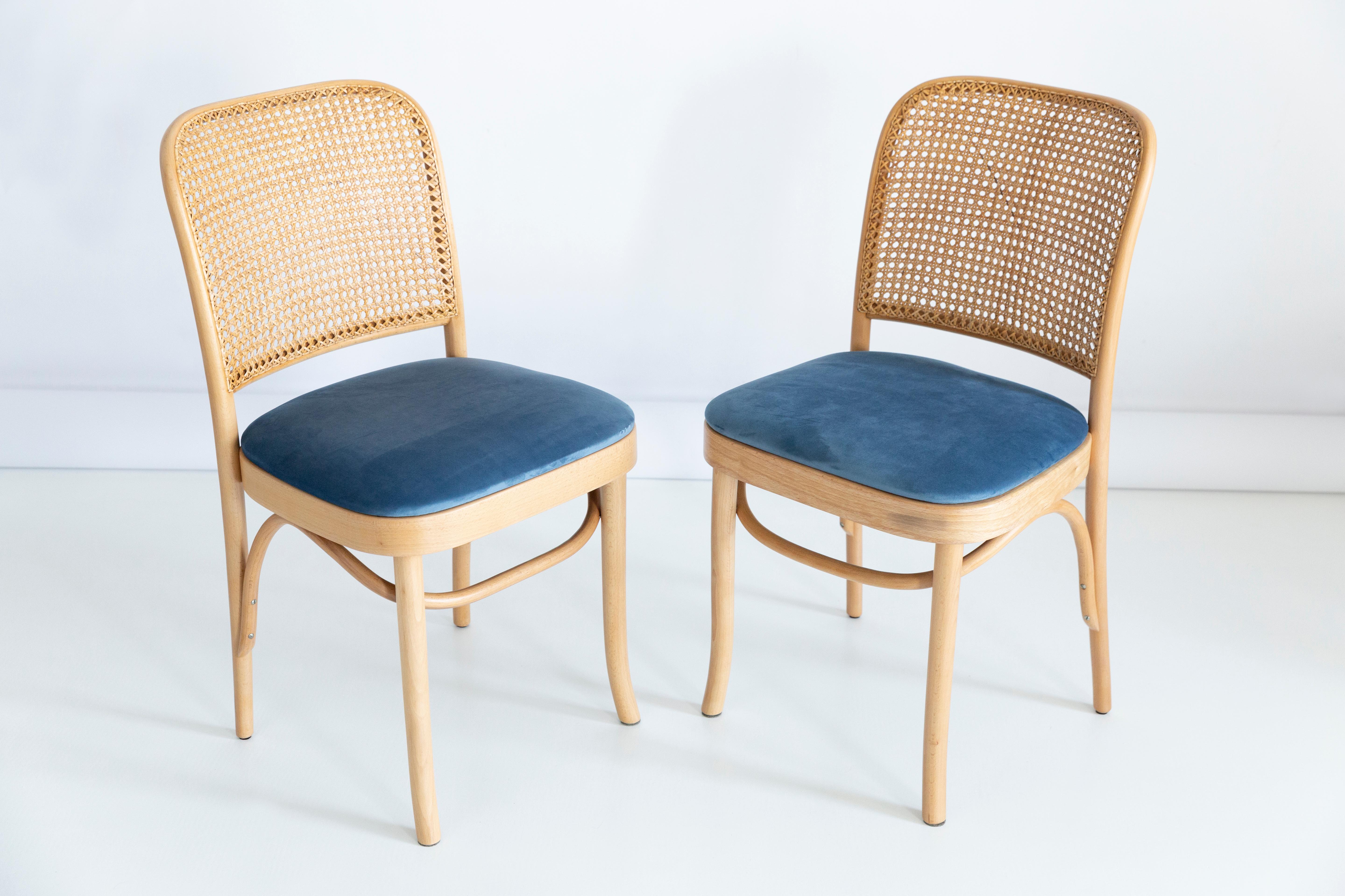 Set of Five Blue Velvet Thonet Wood Rattan Chairs, 1960s For Sale 3