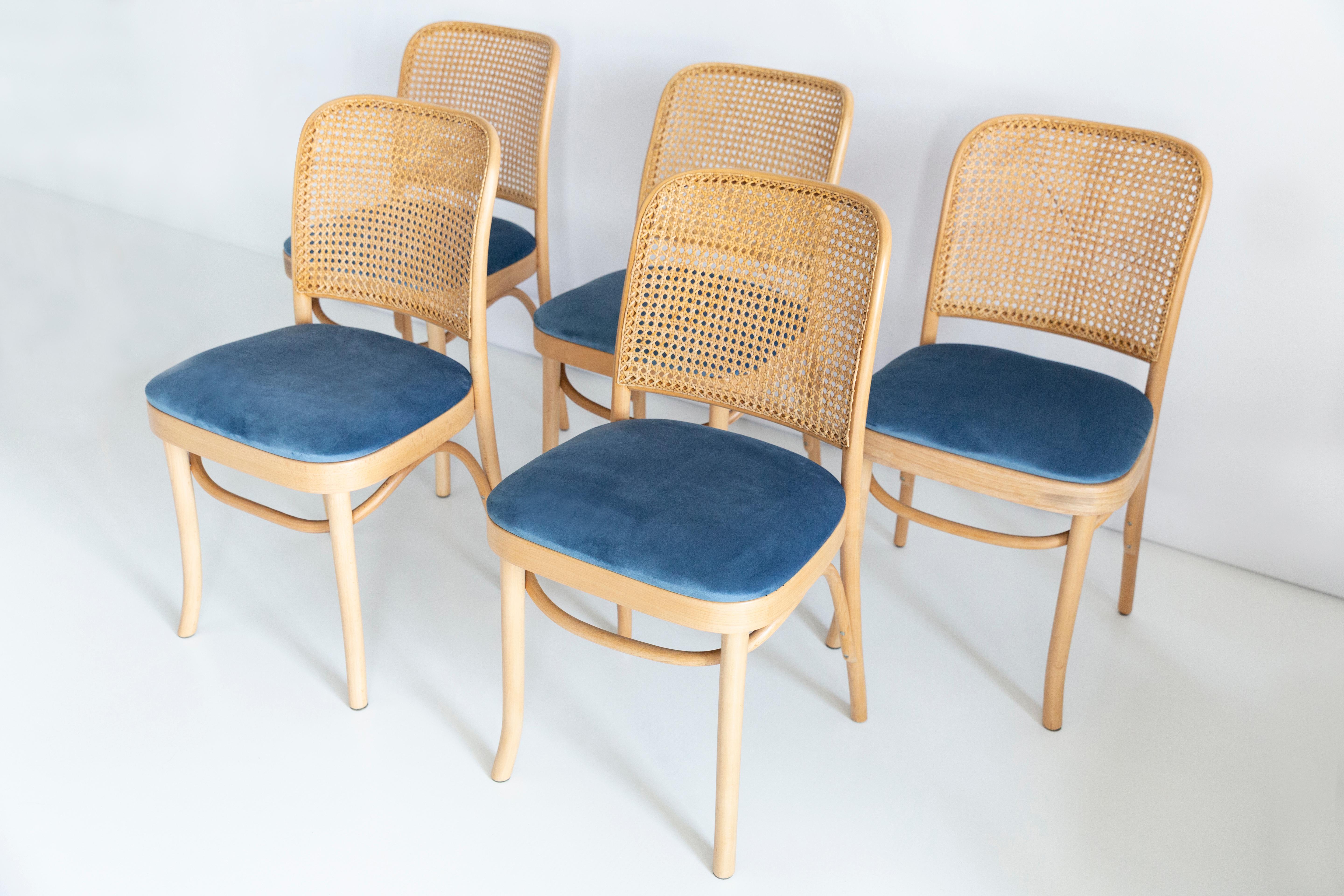 Un ensemble de 5 chaises en rotin et en bois. Le mobilier a été conçu par Helena et Jerzy Kurmanowicz. Elles ont été produites dans l'usine de menuiserie Thonet et nous les avons entièrement rénovées. La construction est en bois de hêtre teinté à