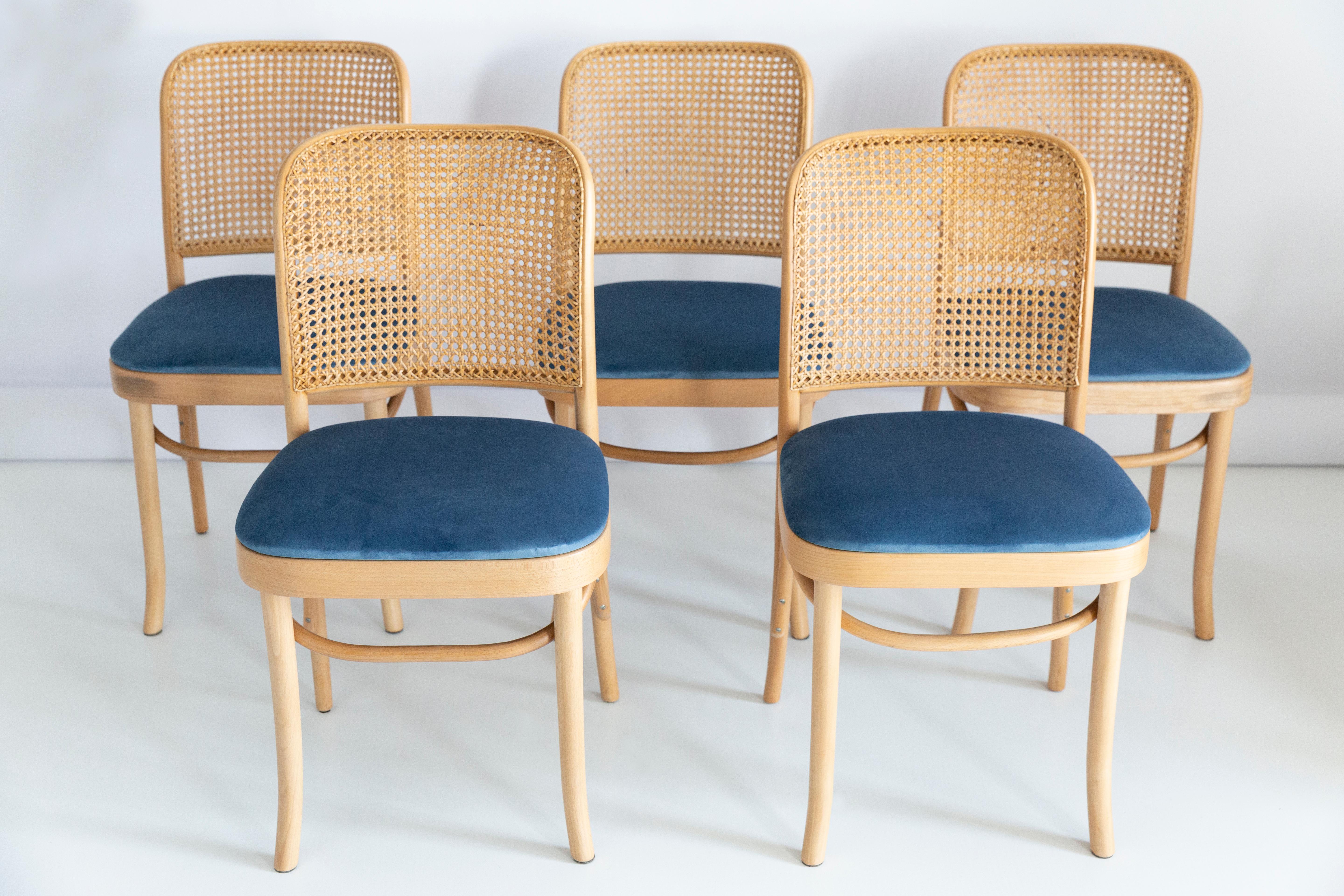 Polish Set of Five Blue Velvet Thonet Wood Rattan Chairs, 1960s For Sale
