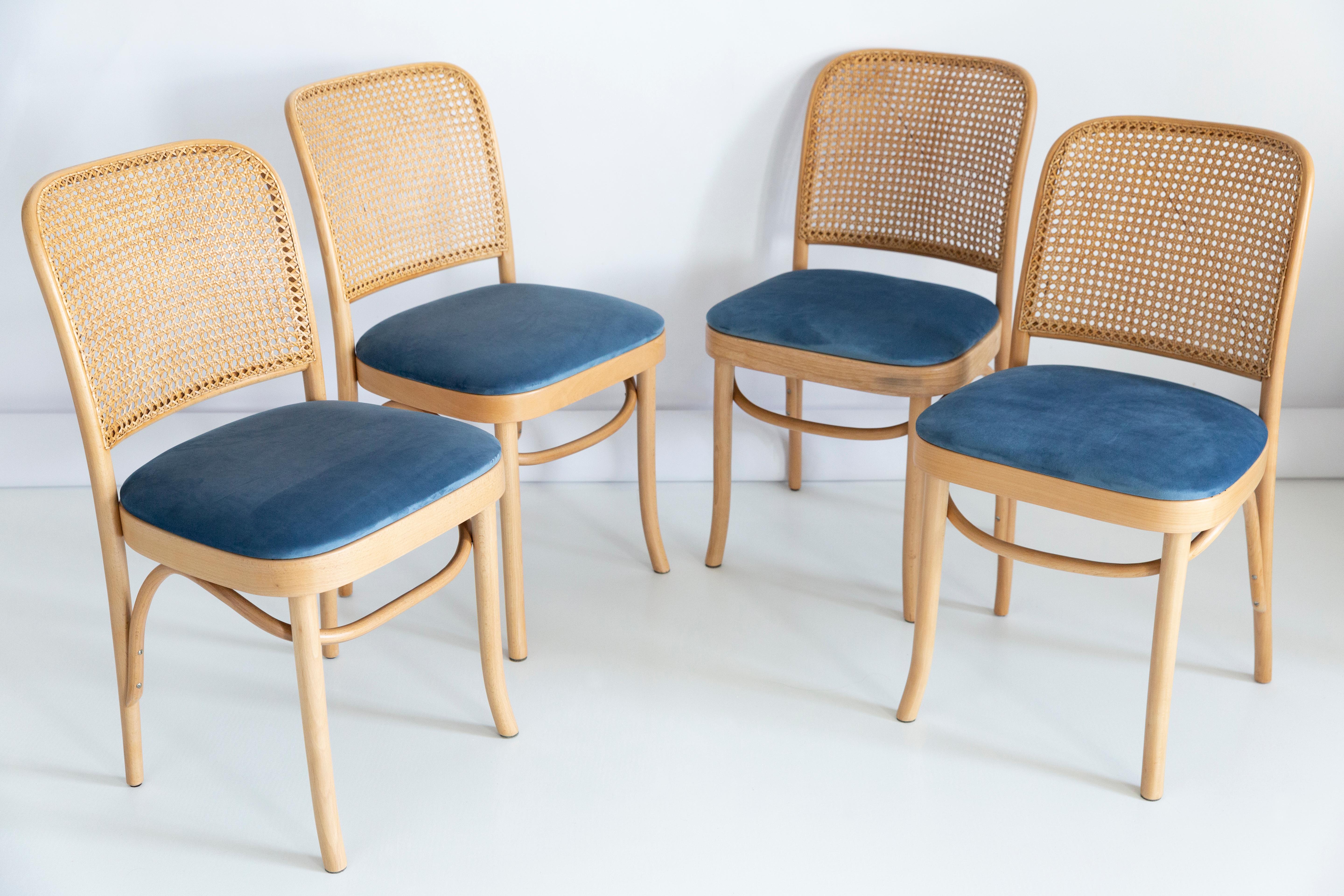 Set of Five Blue Velvet Thonet Wood Rattan Chairs, 1960s In Excellent Condition For Sale In 05-080 Hornowek, PL