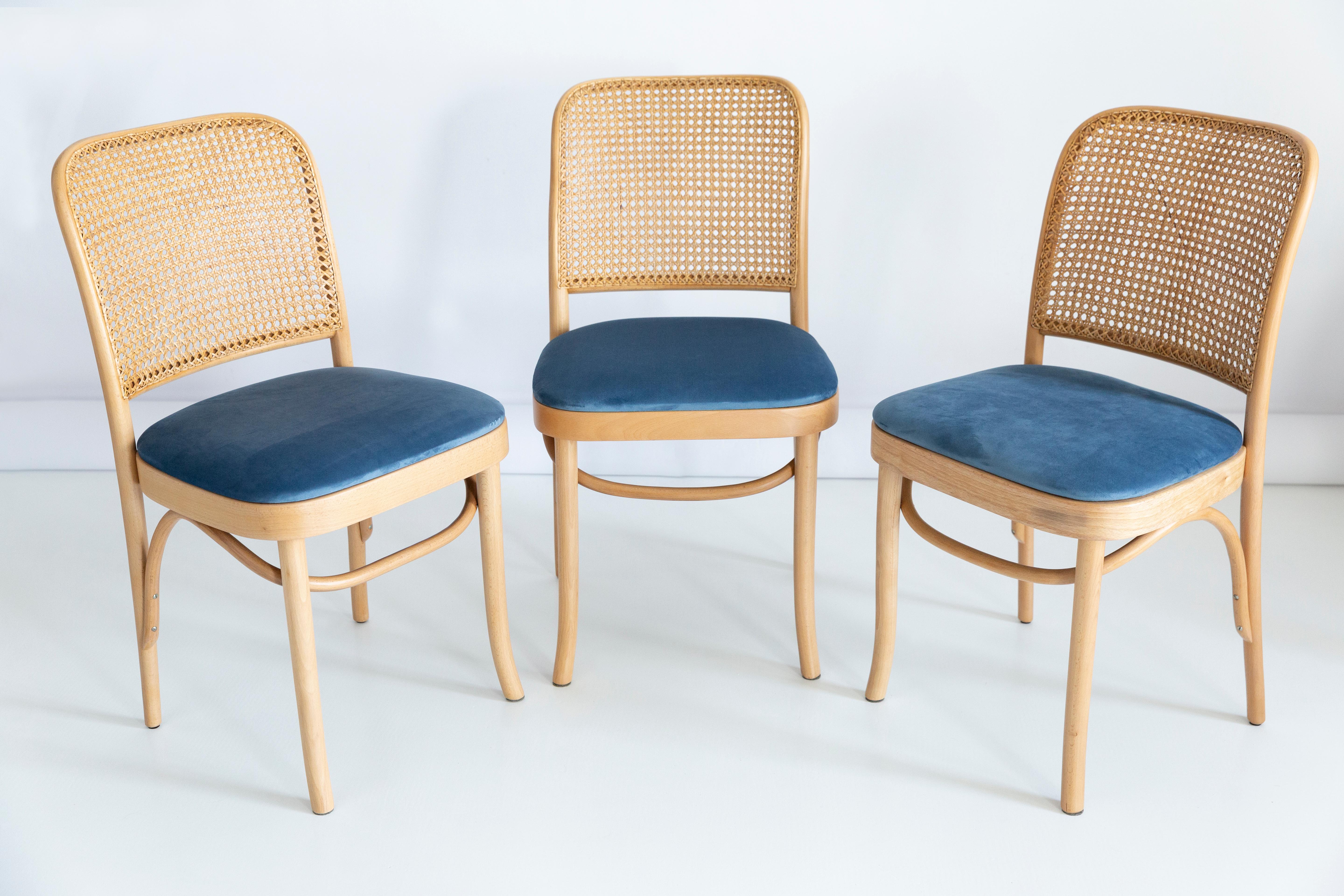 20th Century Set of Five Blue Velvet Thonet Wood Rattan Chairs, 1960s For Sale