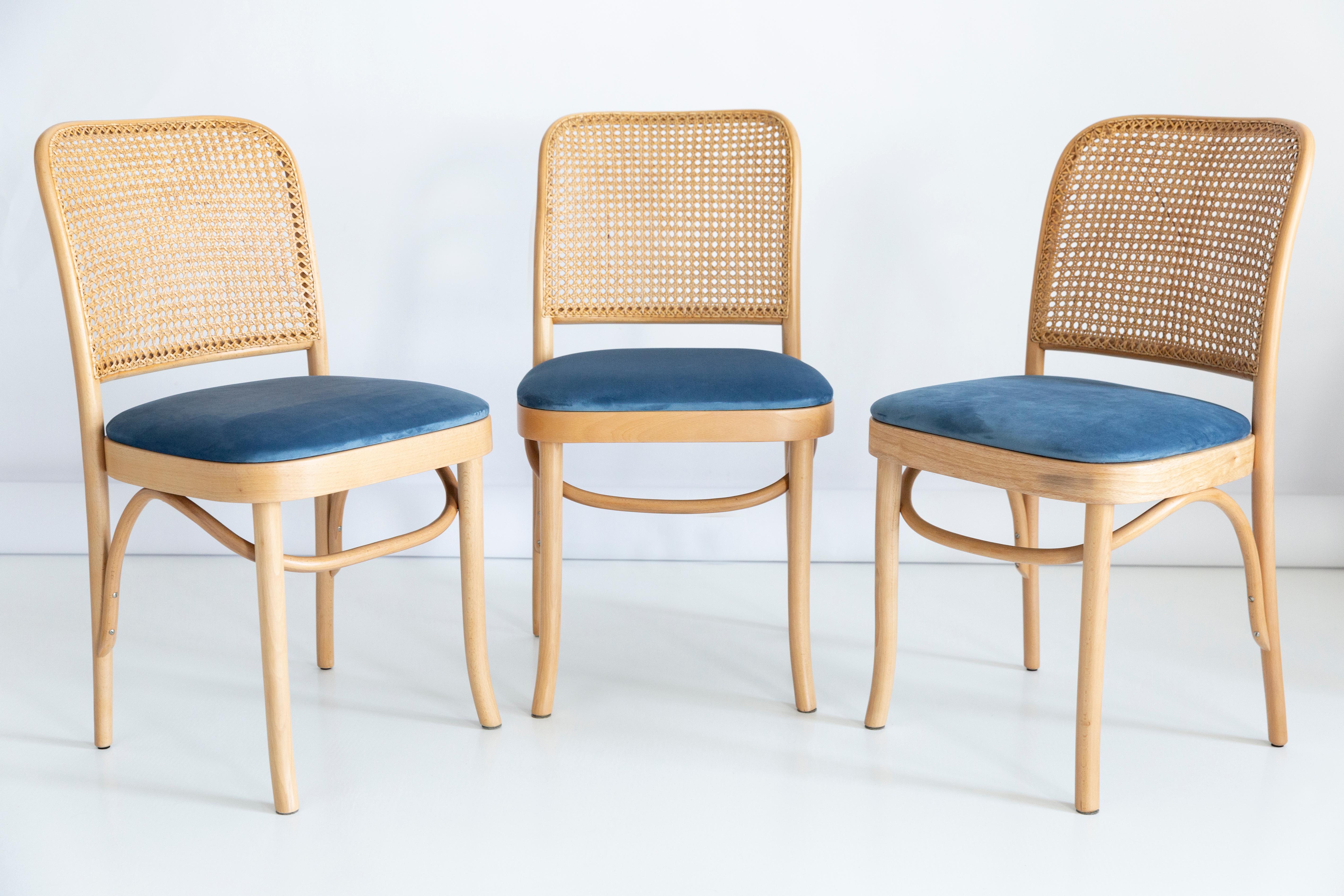 Satz von fünf blauen Thonet Holz-Rattan-Stühlen, 1960er Jahre (Samt) im Angebot