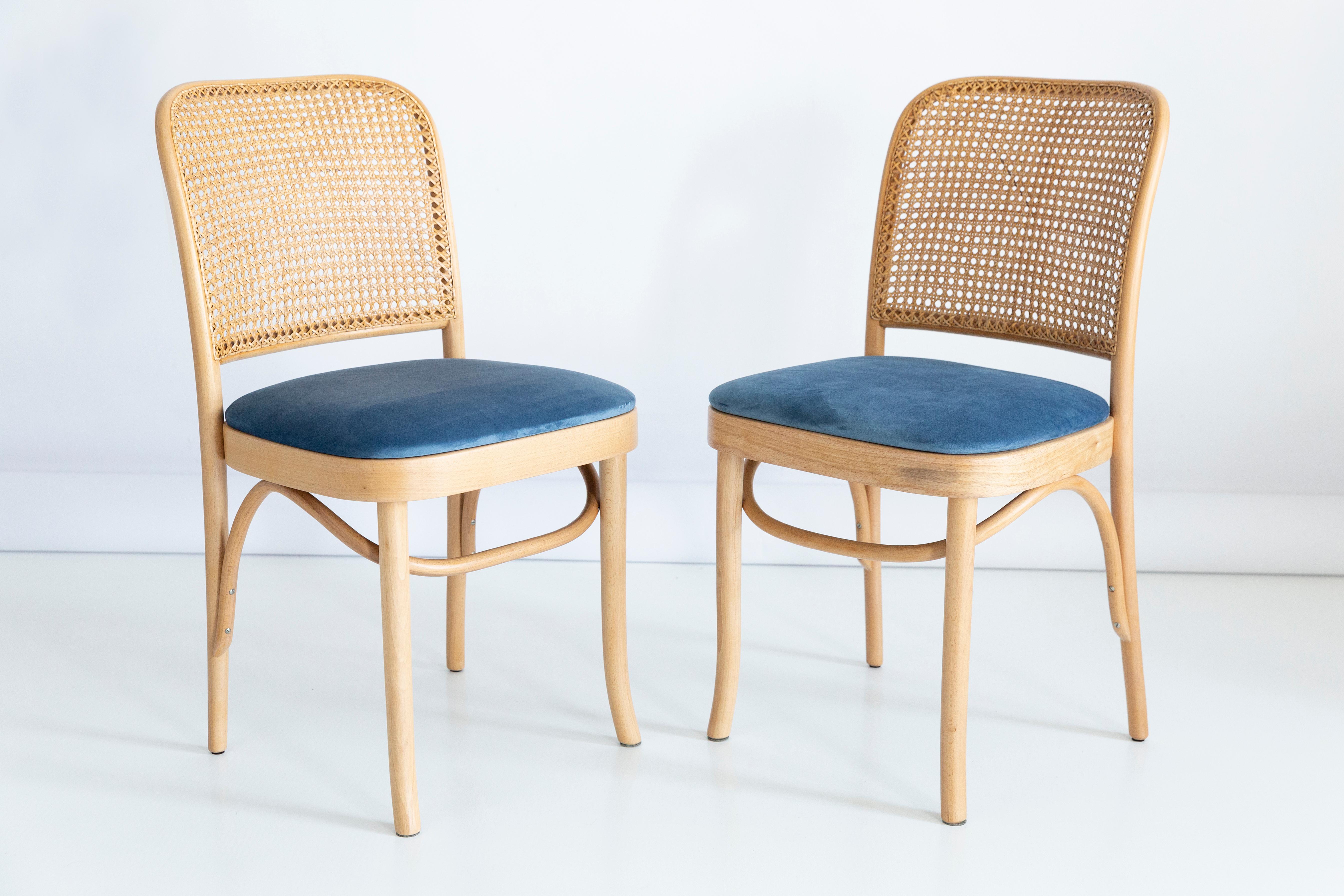 Set of Five Blue Velvet Thonet Wood Rattan Chairs, 1960s For Sale 1