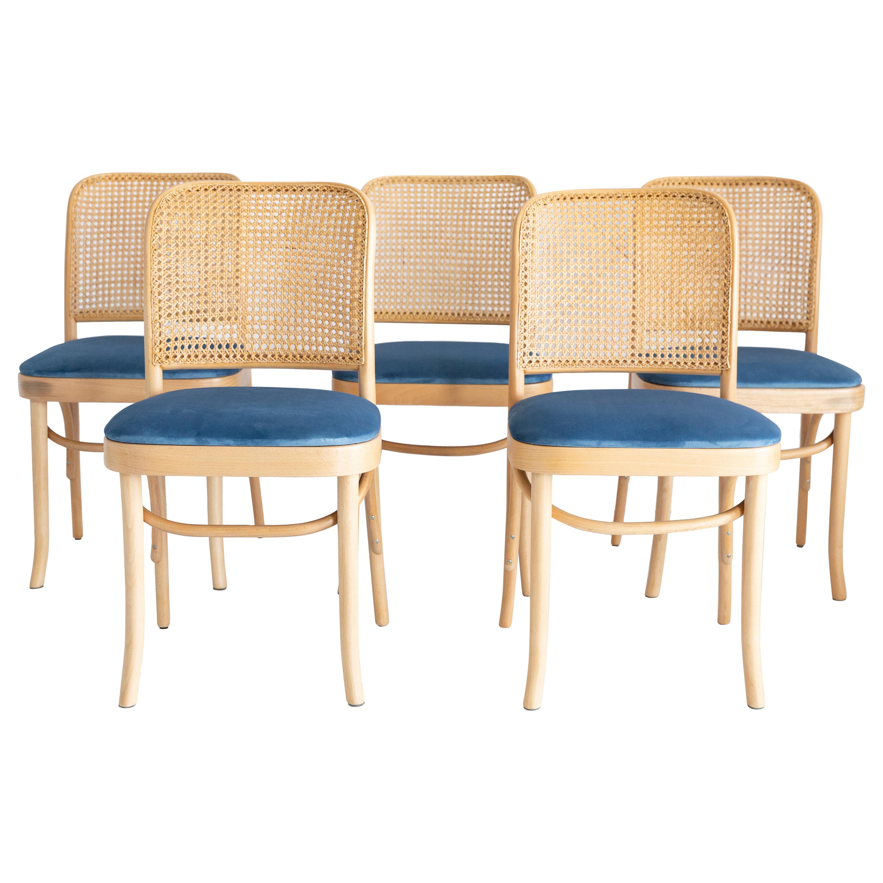 Set di cinque sedie in rattan in legno Thonet in velluto blu, anni '60