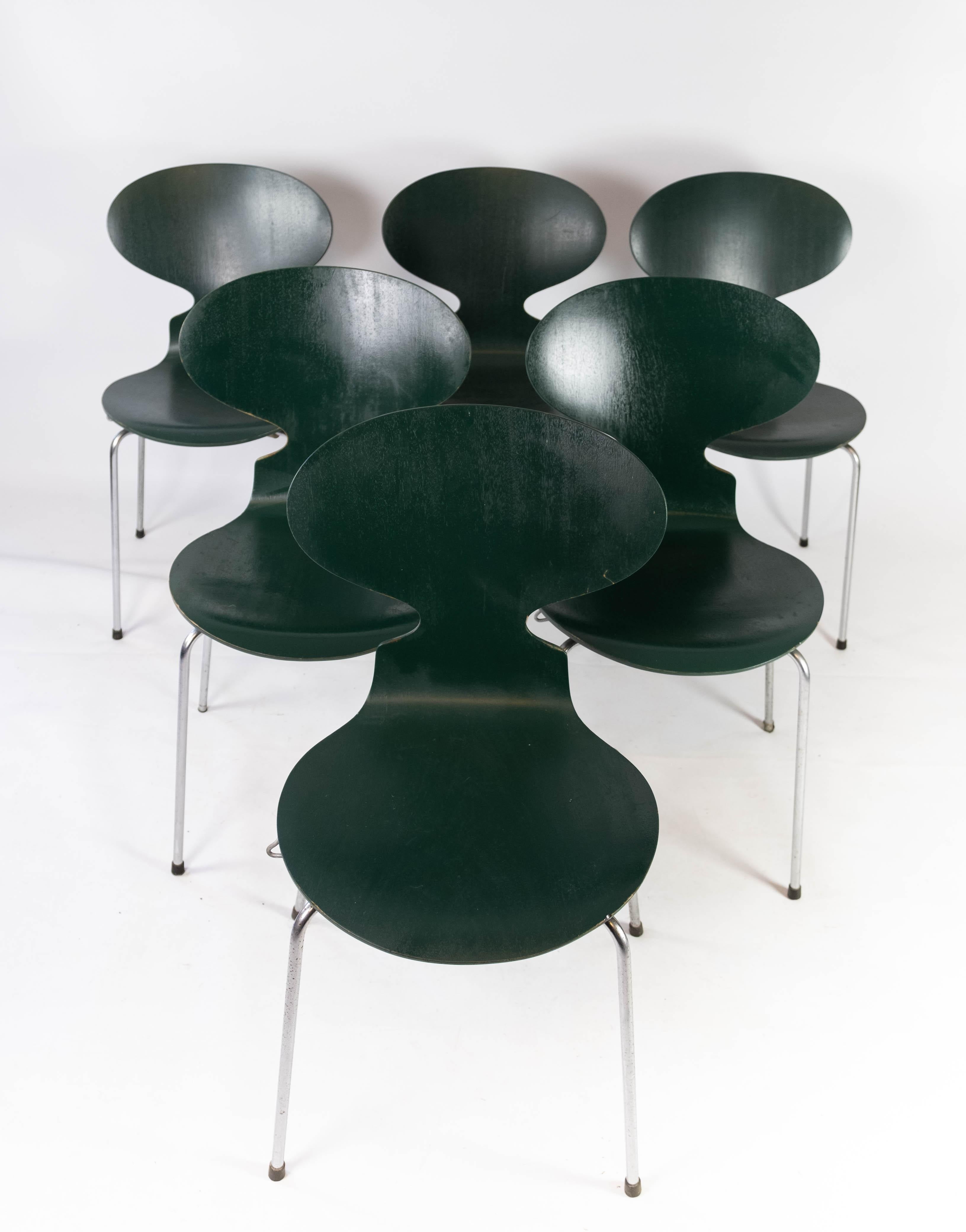 Set of five dark green Ant chairs, model 3101, designed by Arne Jacobsen in 1952 and manufactured by Fritz Hansen. The chairs are in great used condition.
 