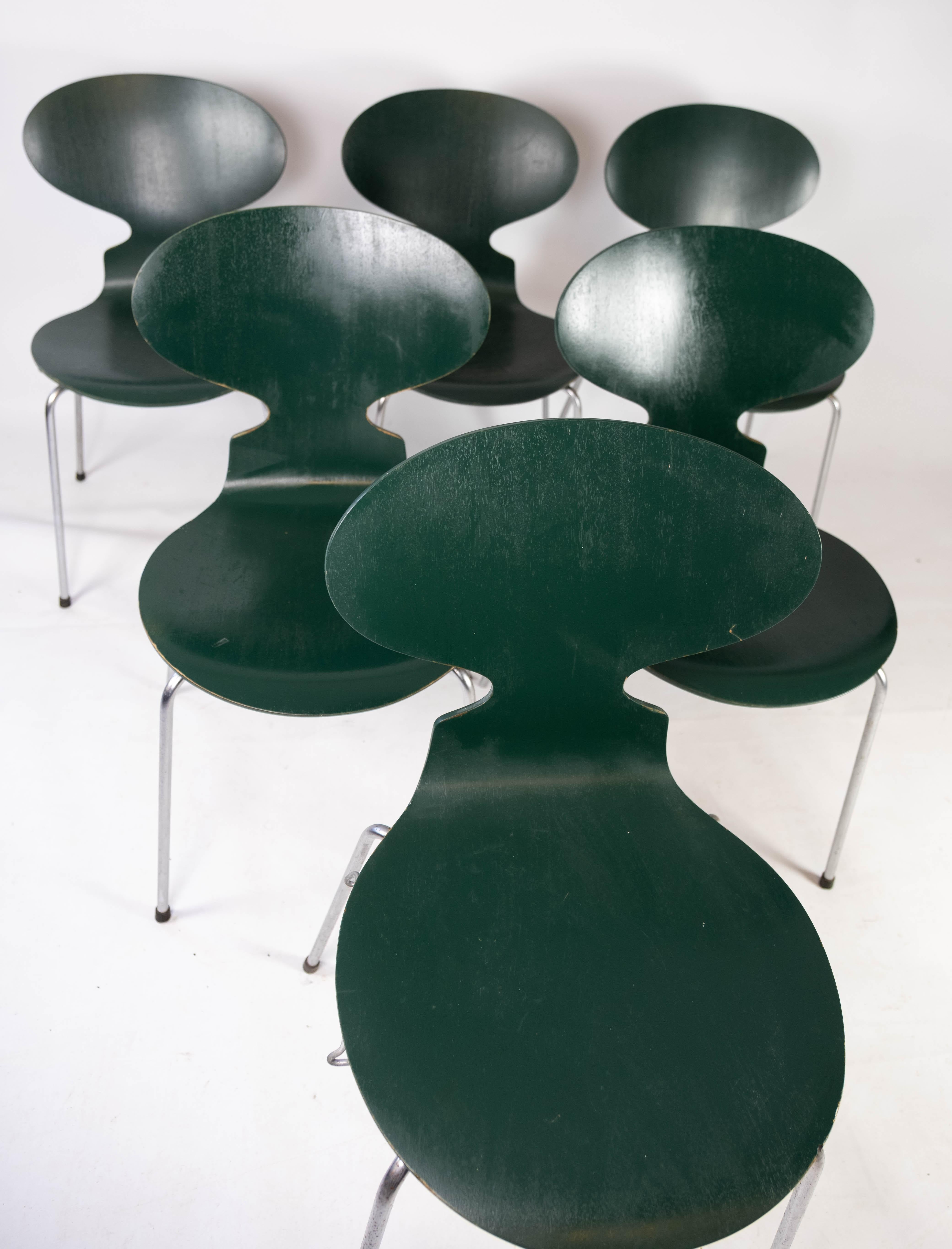 Scandinavian Modern Set of Five Dark Green Ant Chairs, Model 3101, Designed by Arne Jacobsen, 1960s