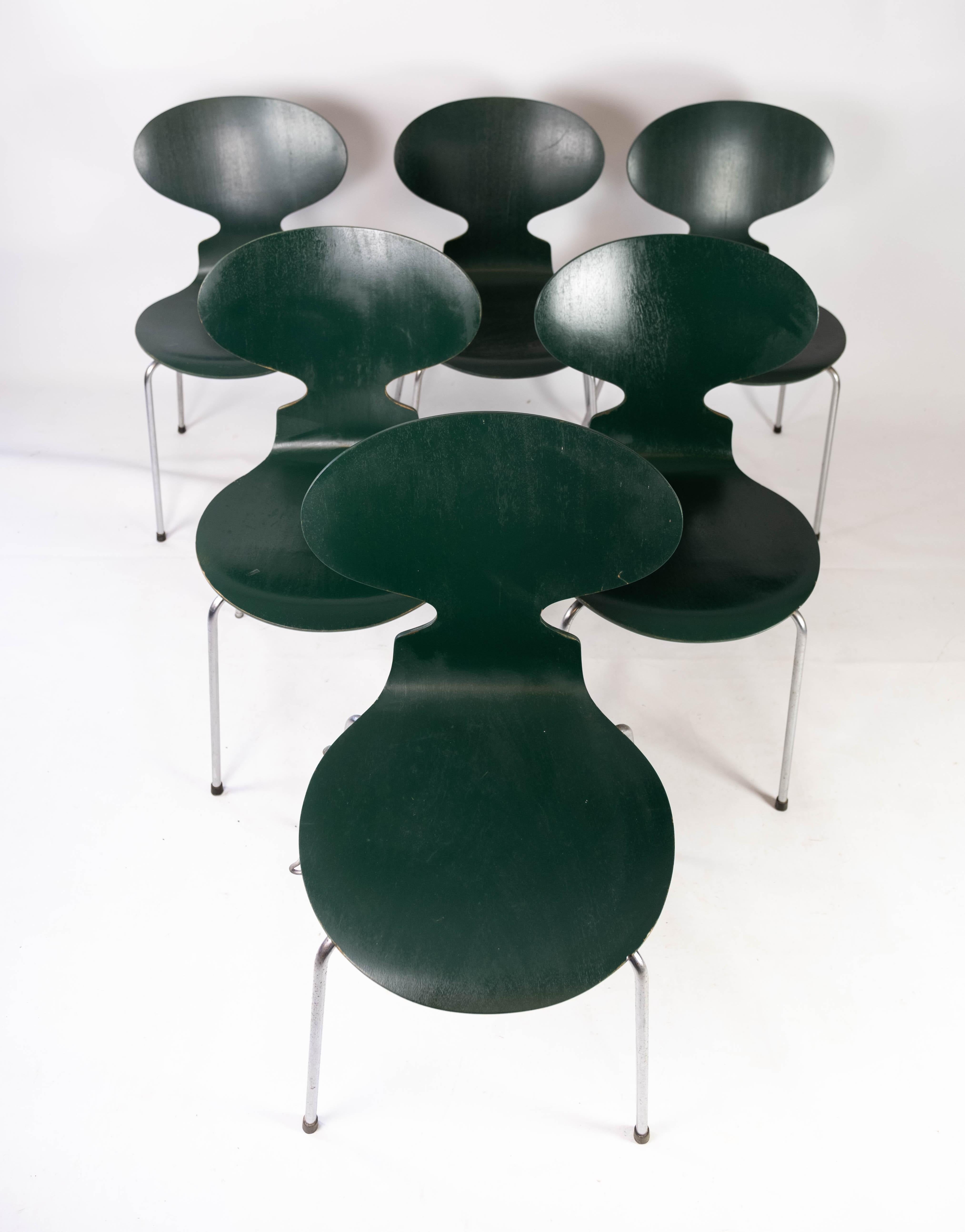 Set of Five Dark Green Ant Chairs, Model 3101, Designed by Arne Jacobsen, 1960s In Good Condition In Lejre, DK