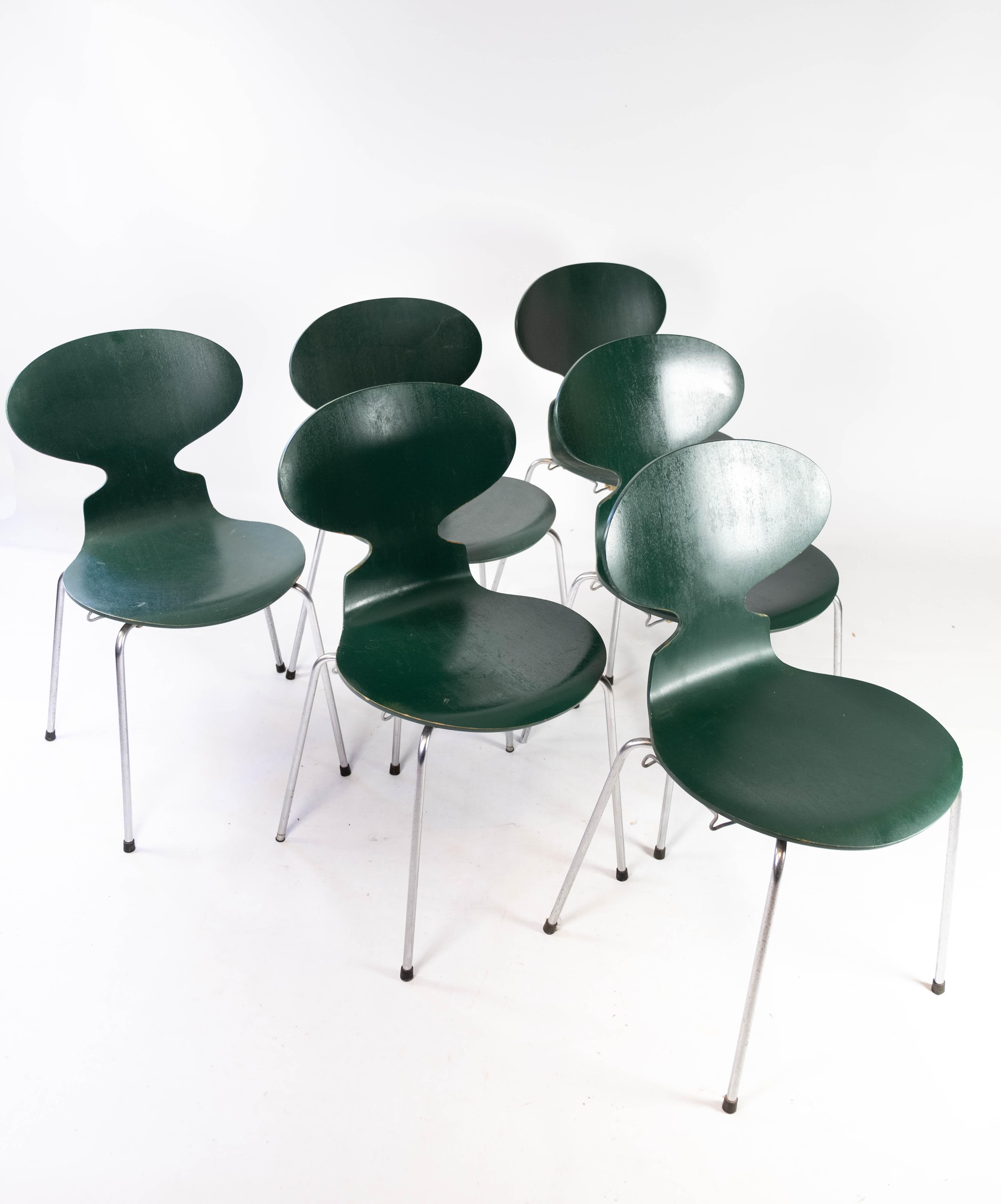 Mid-20th Century Set of Five Dark Green Ant Chairs, Model 3101, Designed by Arne Jacobsen, 1960s