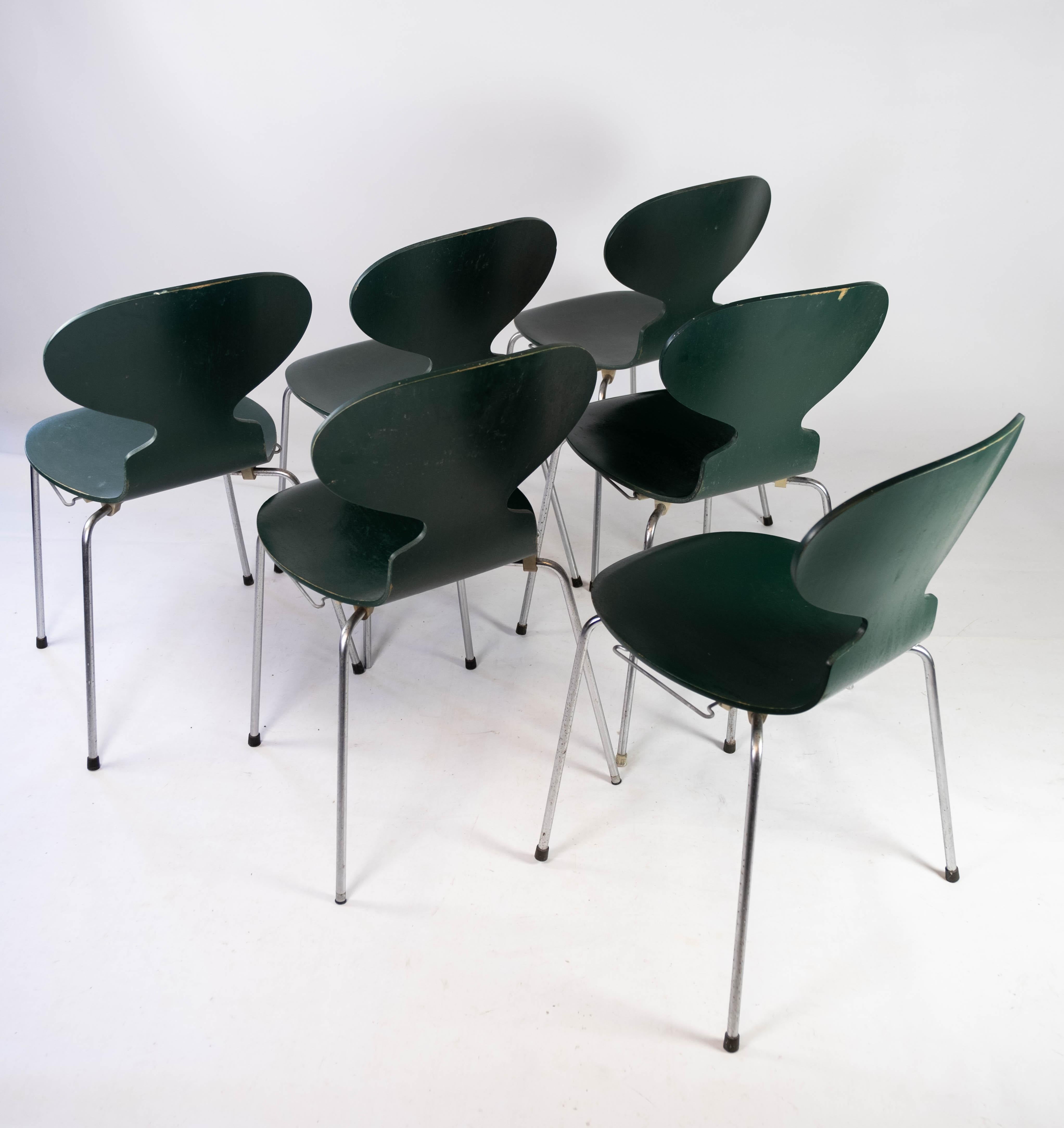 Metal Set of Five Dark Green Ant Chairs, Model 3101, Designed by Arne Jacobsen, 1960s
