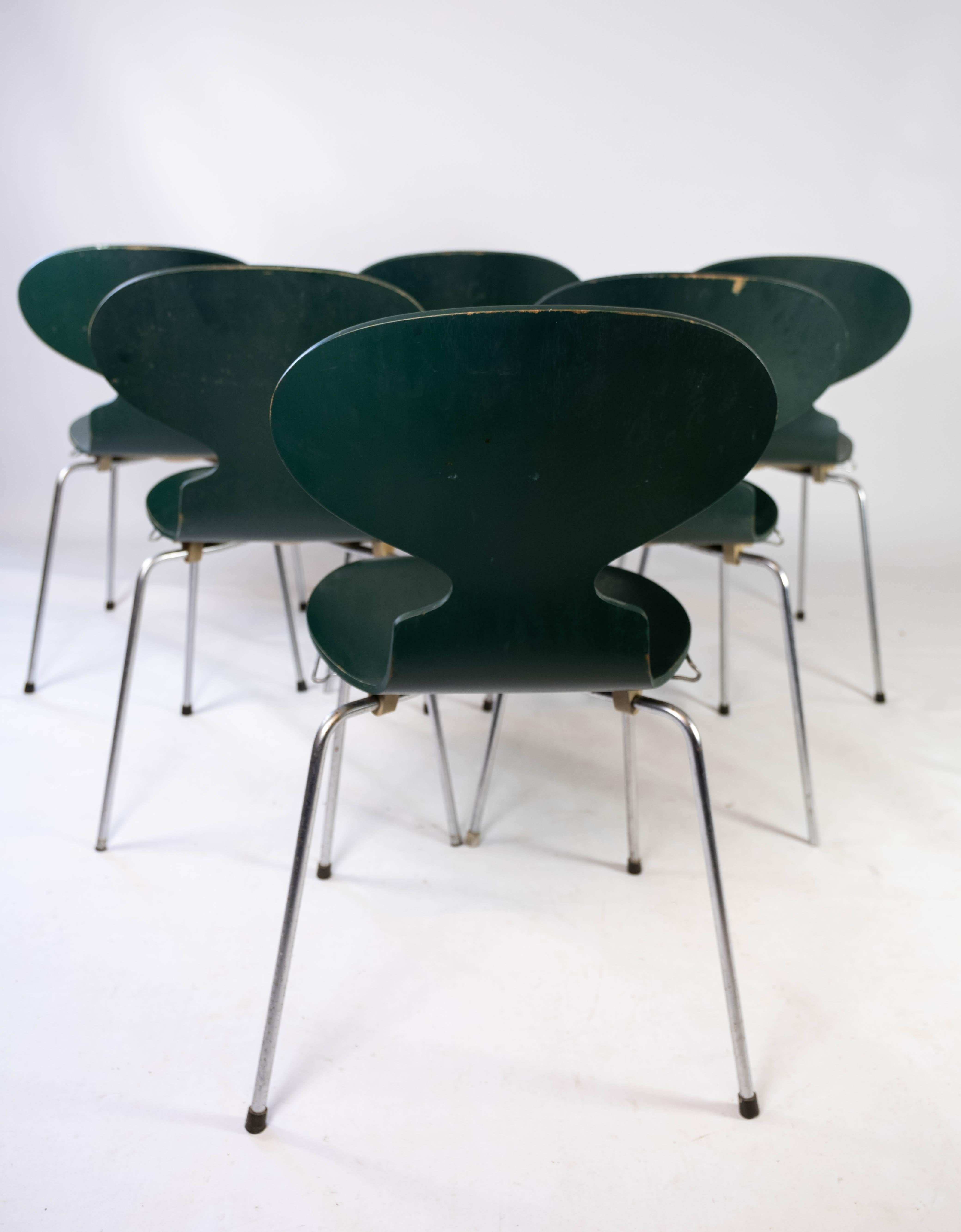 Set of Five Dark Green Ant Chairs, Model 3101, Designed by Arne Jacobsen, 1960s 1