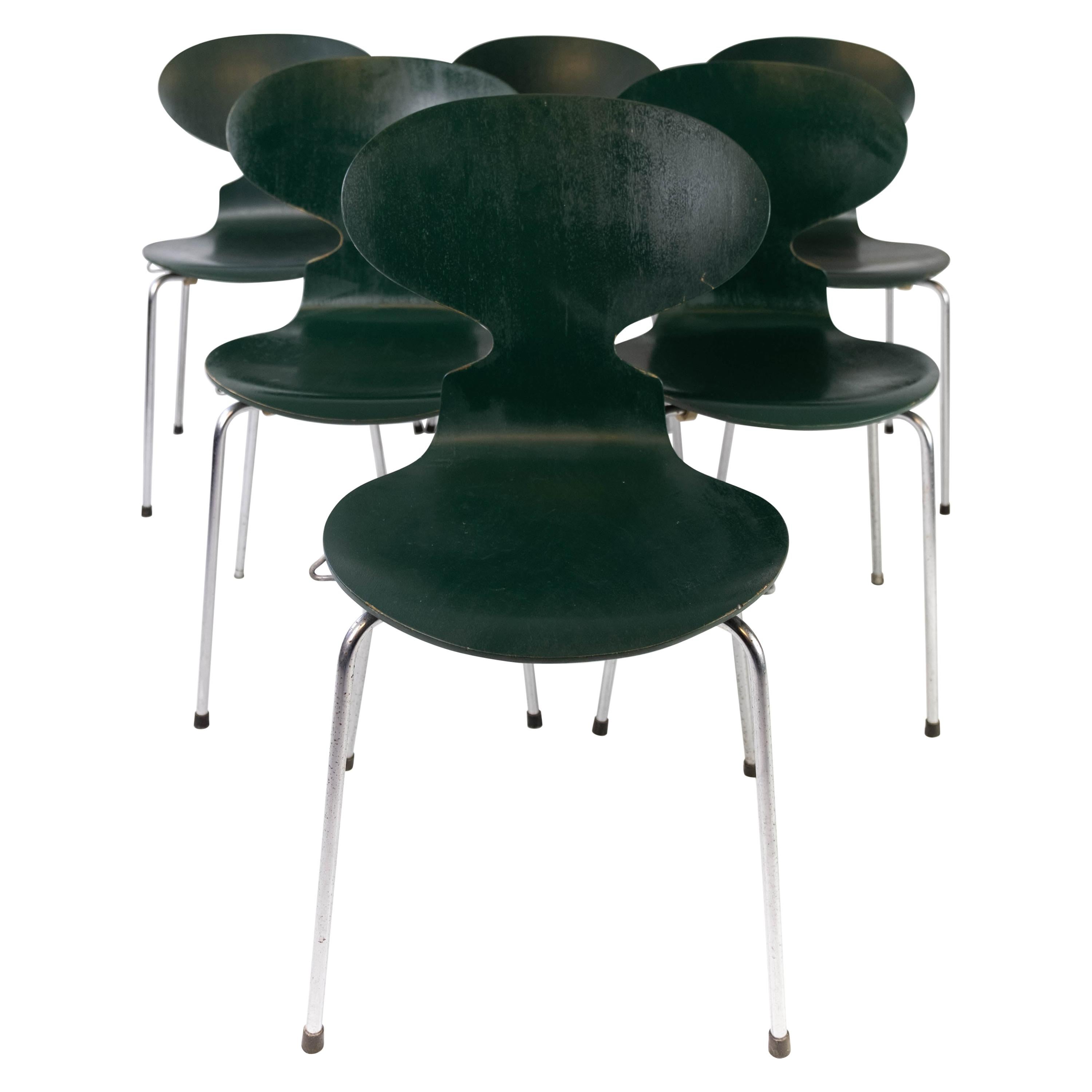 Set of Five Dark Green Ant Chairs, Model 3101, Designed by Arne Jacobsen, 1960s