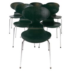Set of Five Dark Green Ant Chairs, Model 3101, Designed by Arne Jacobsen, 1960s Set of Five Dark Green Ant Chairs, Model 3101, Designed by Arne Jacobsen, 1960s