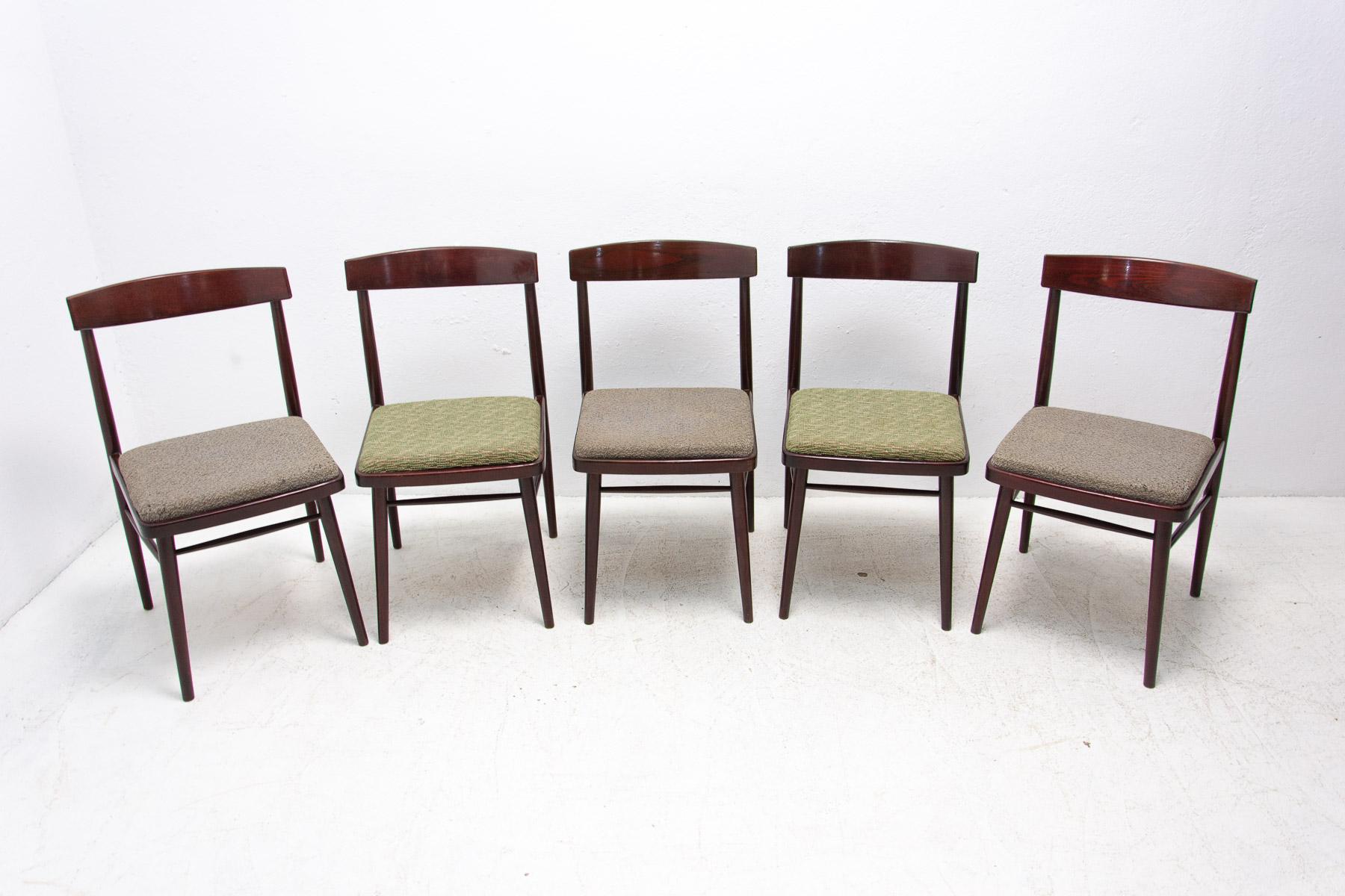 Mid-Century Modern Set of Five Dining Chairs Ton, Czechoslovakia, 1970's
