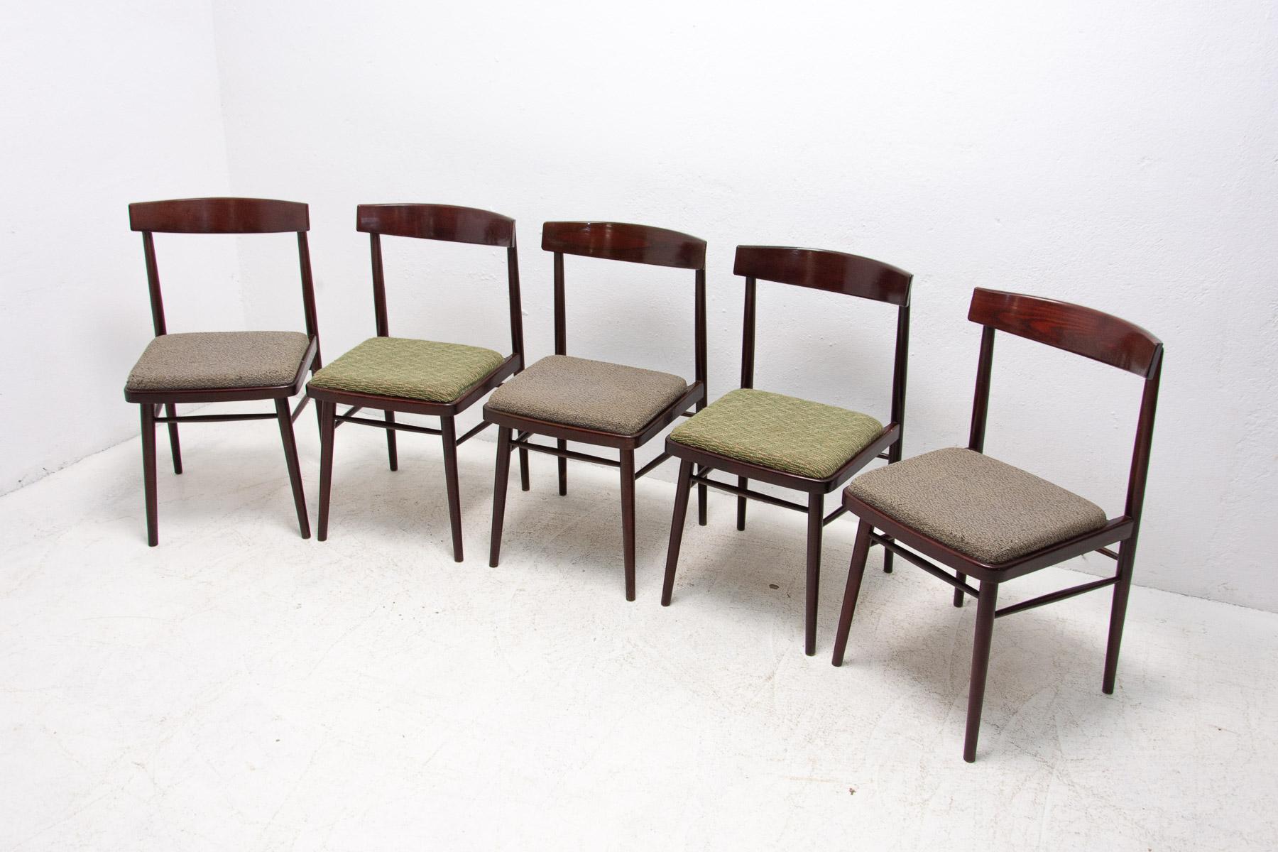 Veneer Set of Five Dining Chairs Ton, Czechoslovakia, 1970's