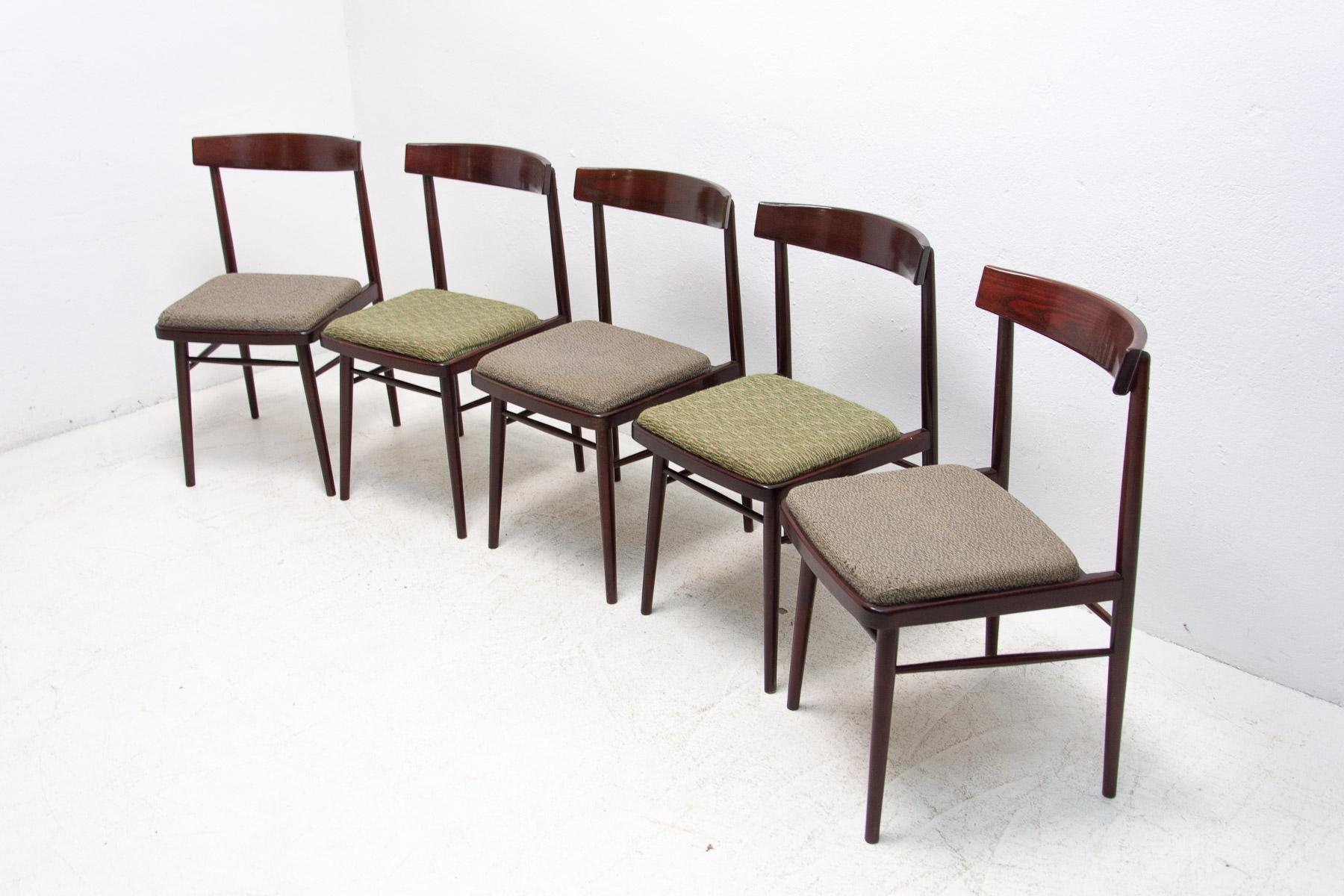 20th Century Set of Five Dining Chairs Ton, Czechoslovakia, 1970's