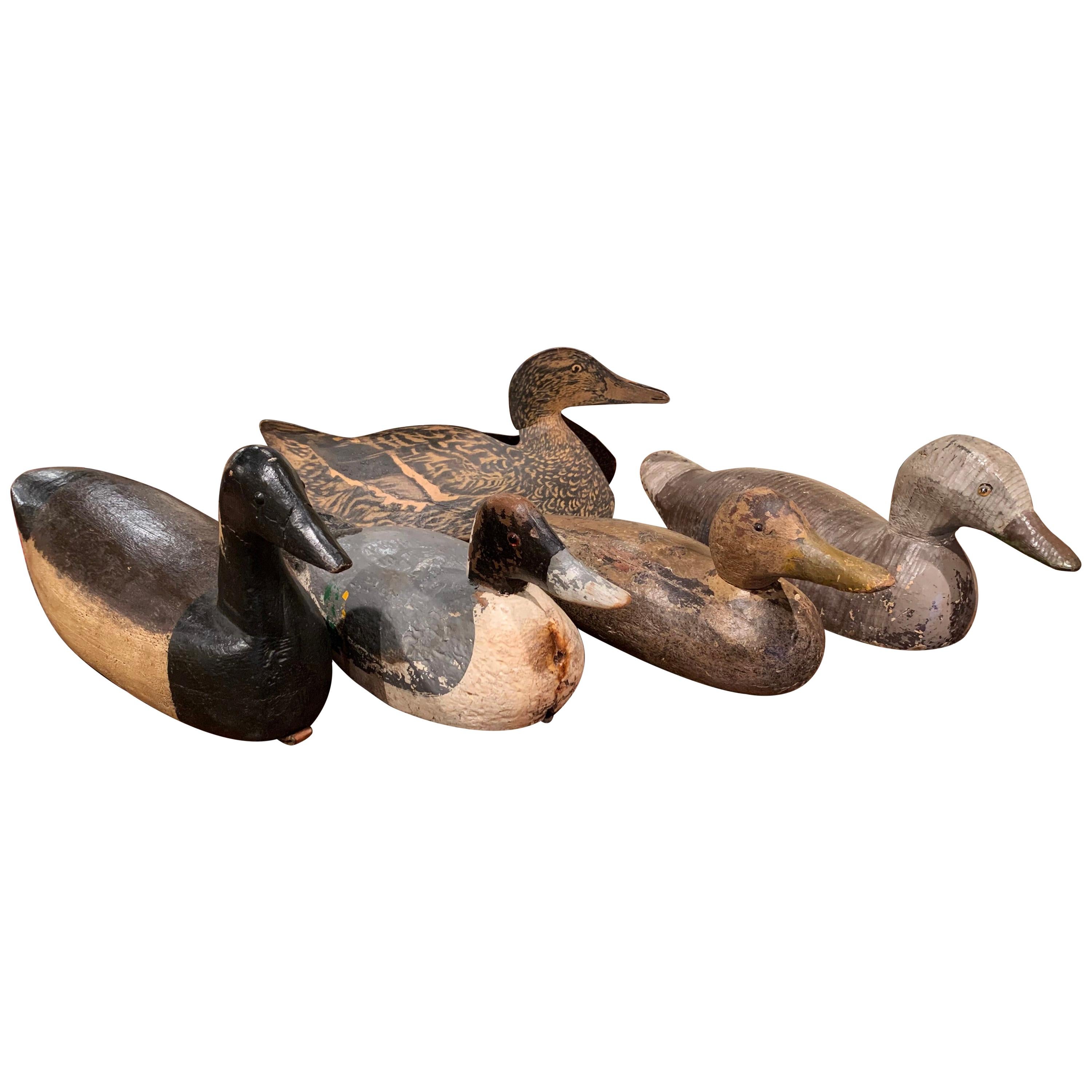 Set of Five Early 20th Century Carved and Hand Painted Duck Decoys