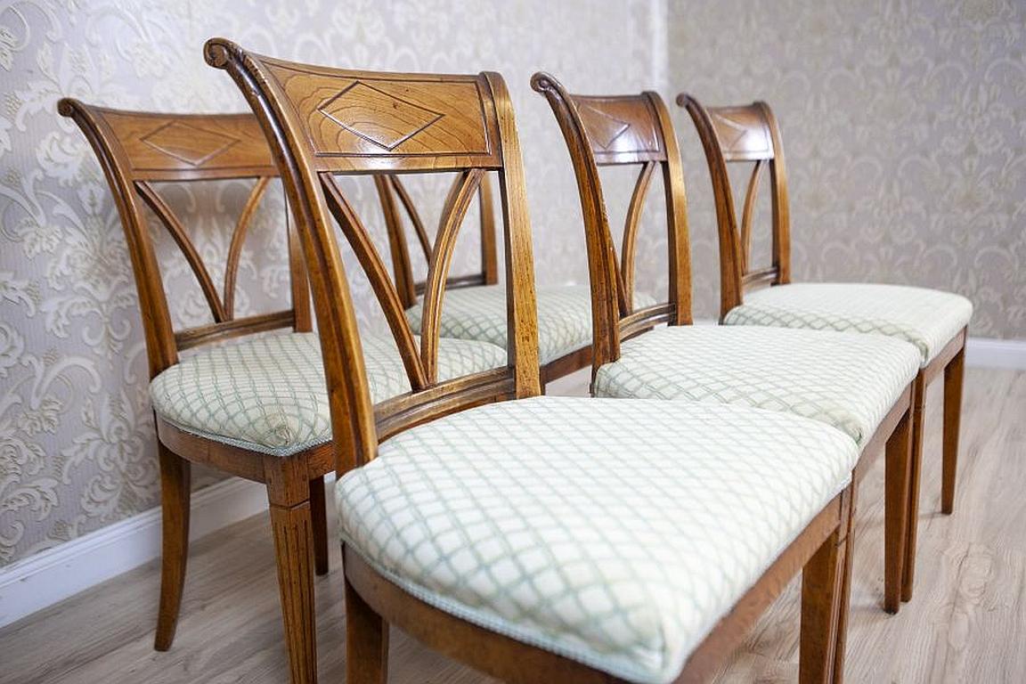 Set of Five Elm Chairs from the Early 20th Century in White Upholstery In Good Condition For Sale In Opole, PL