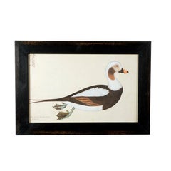 Set of Five Framed Duck Prints