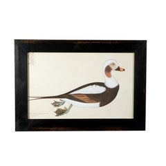 Set of Five Framed Duck Prints