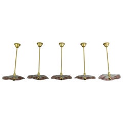 Set of Five French Glass and Brass Pendant Lights with Pink Enameled Flowers