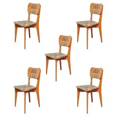 Set of Five French Mid Century Modern Dinner Chairs, circa 1950