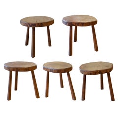 Set of Five French Midcentury Tree Trunk Stools