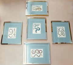 Set Of Five Hand Colored Snakes, Original Engravings, 18th Century