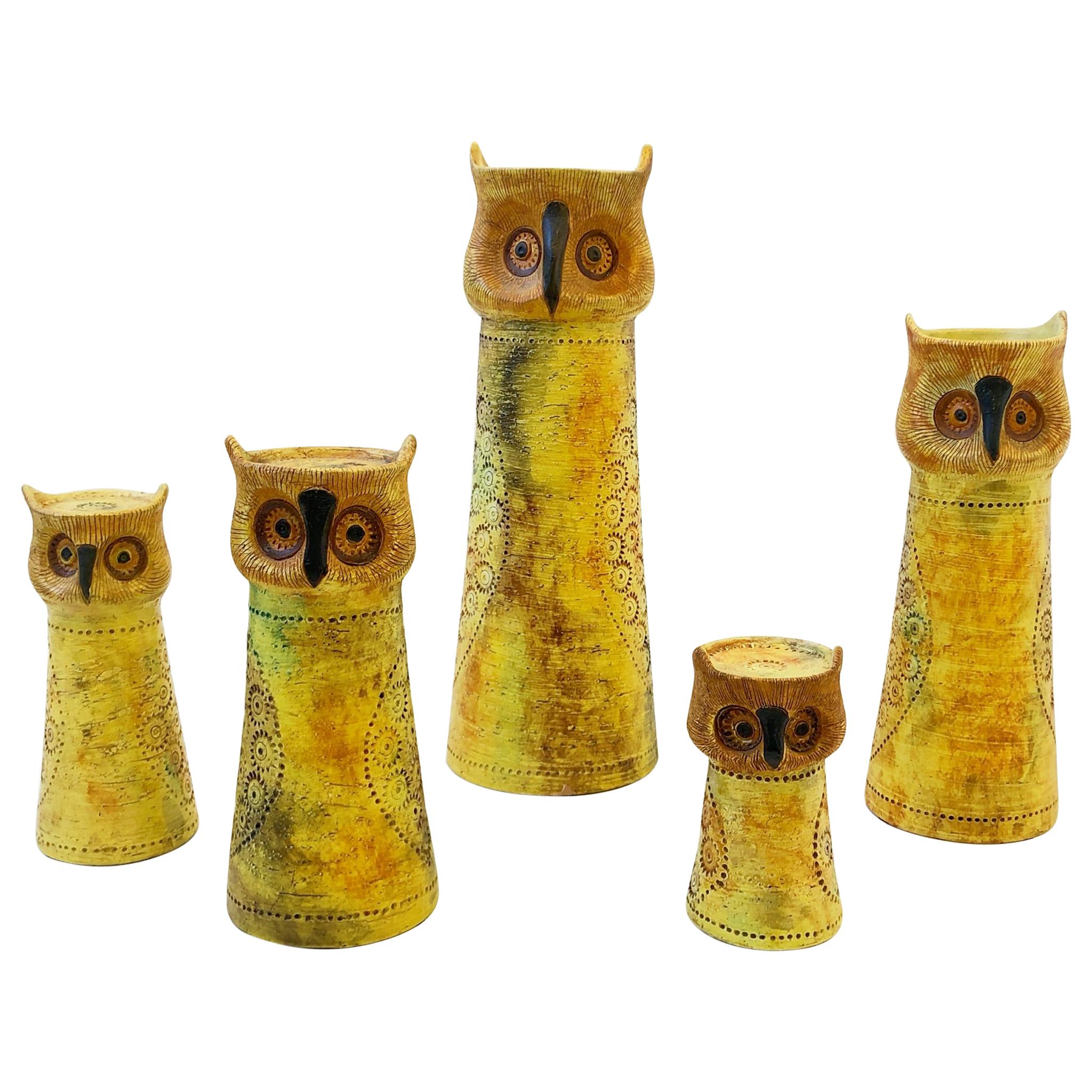 Set of Five Italian Ceramic Owls Candleholders by Bitossi