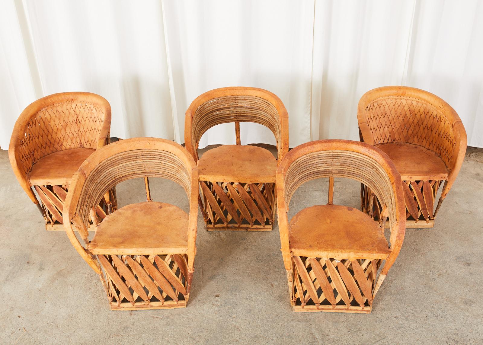 Rustic set of five assembled Mexican equipale chairs crafted from animal leather and cedar. The name 