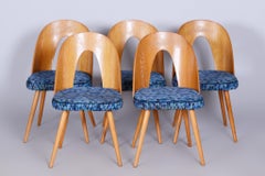 Set of Five Original Mid-Century Chairs, by Antonín Šuman, Ash, Czech, 1940s