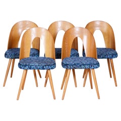 Set of Five Original Mid-Century Chairs, by Antonín Šuman, Ash, Czech, 1940s