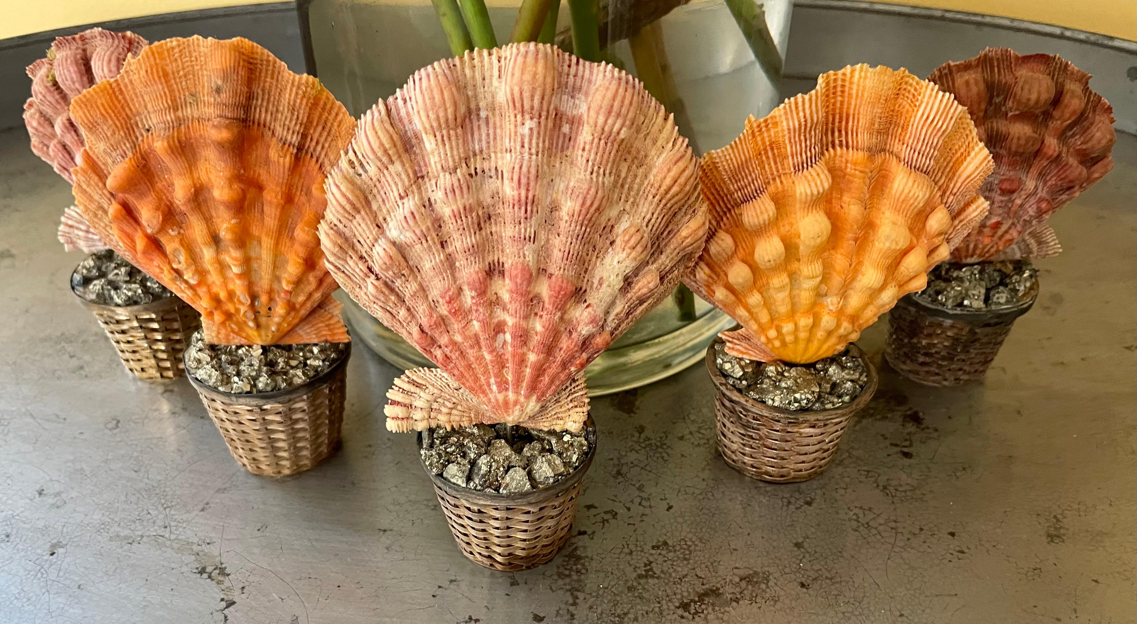 Set of Five Ornamental Shells in Mexican Silver Baskets For Sale 6